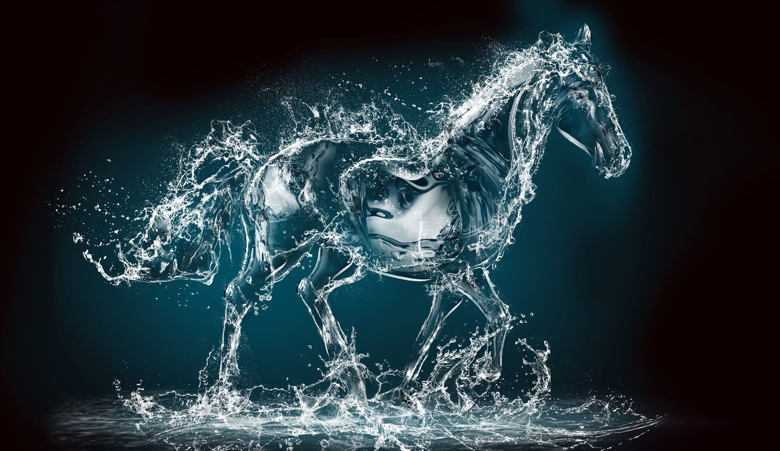 Water Horse Wallpapers