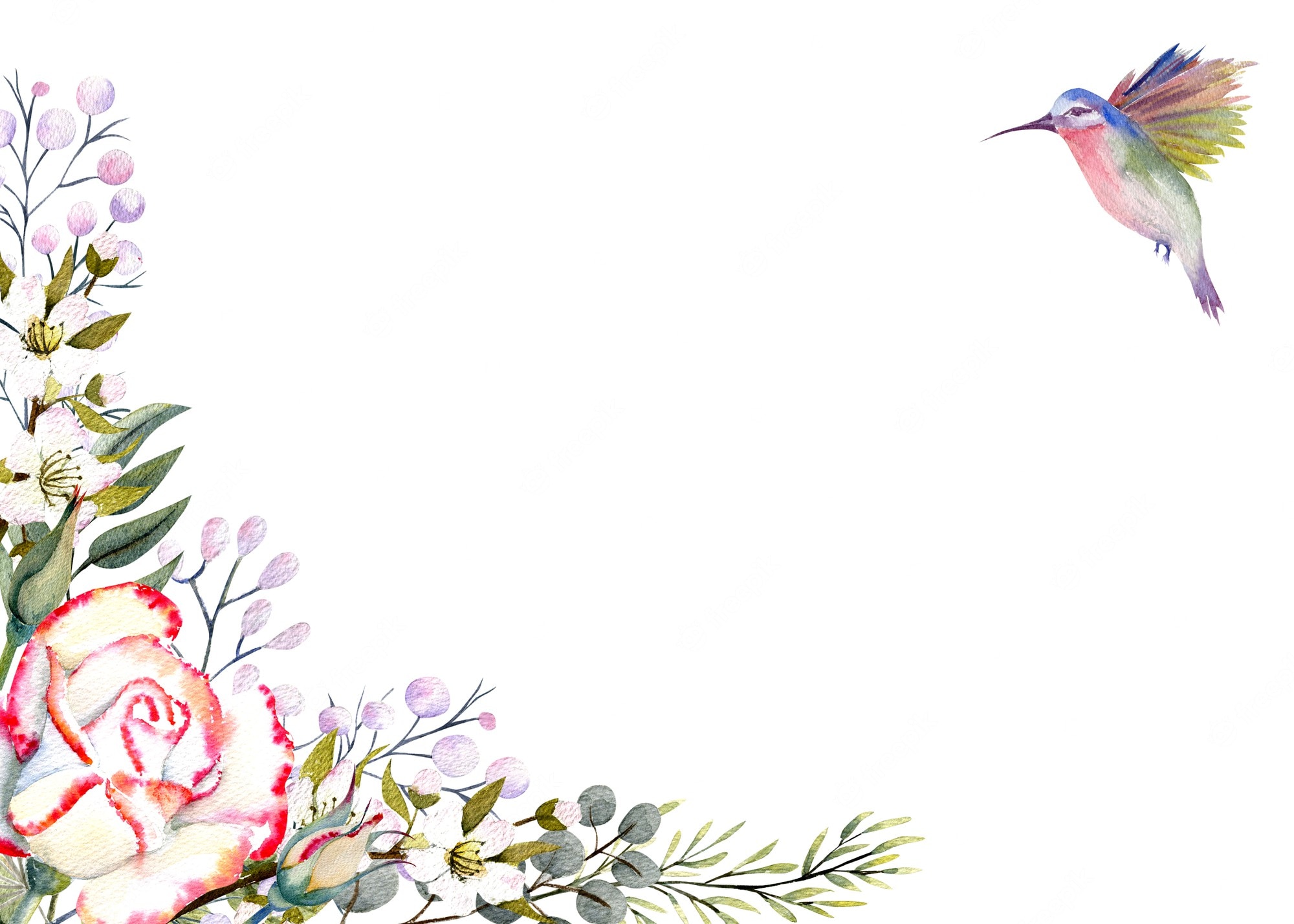 Watercolor Hummingbird Images Wallpapers