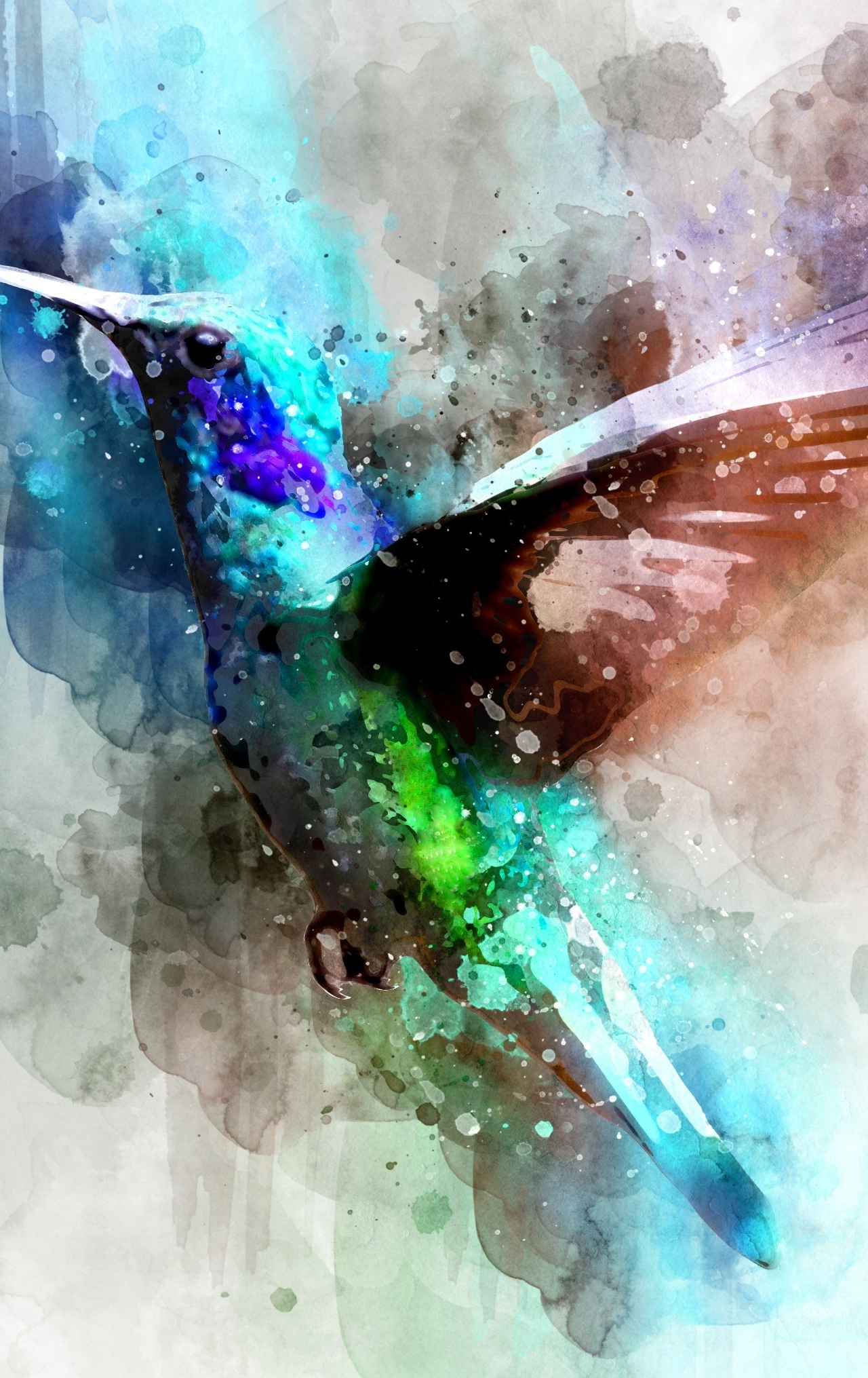 Watercolor Hummingbird Images Wallpapers