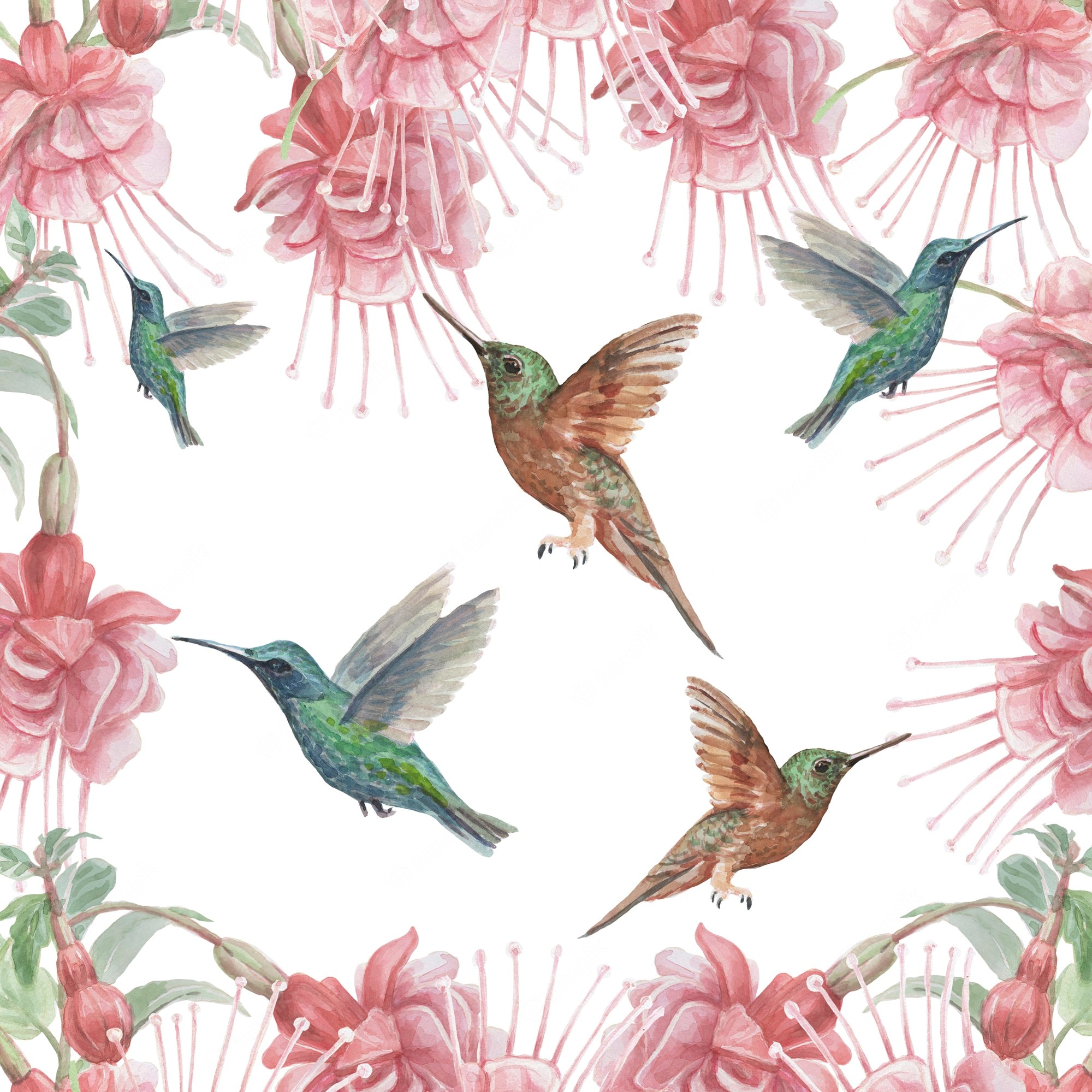 Watercolor Hummingbird Images Wallpapers