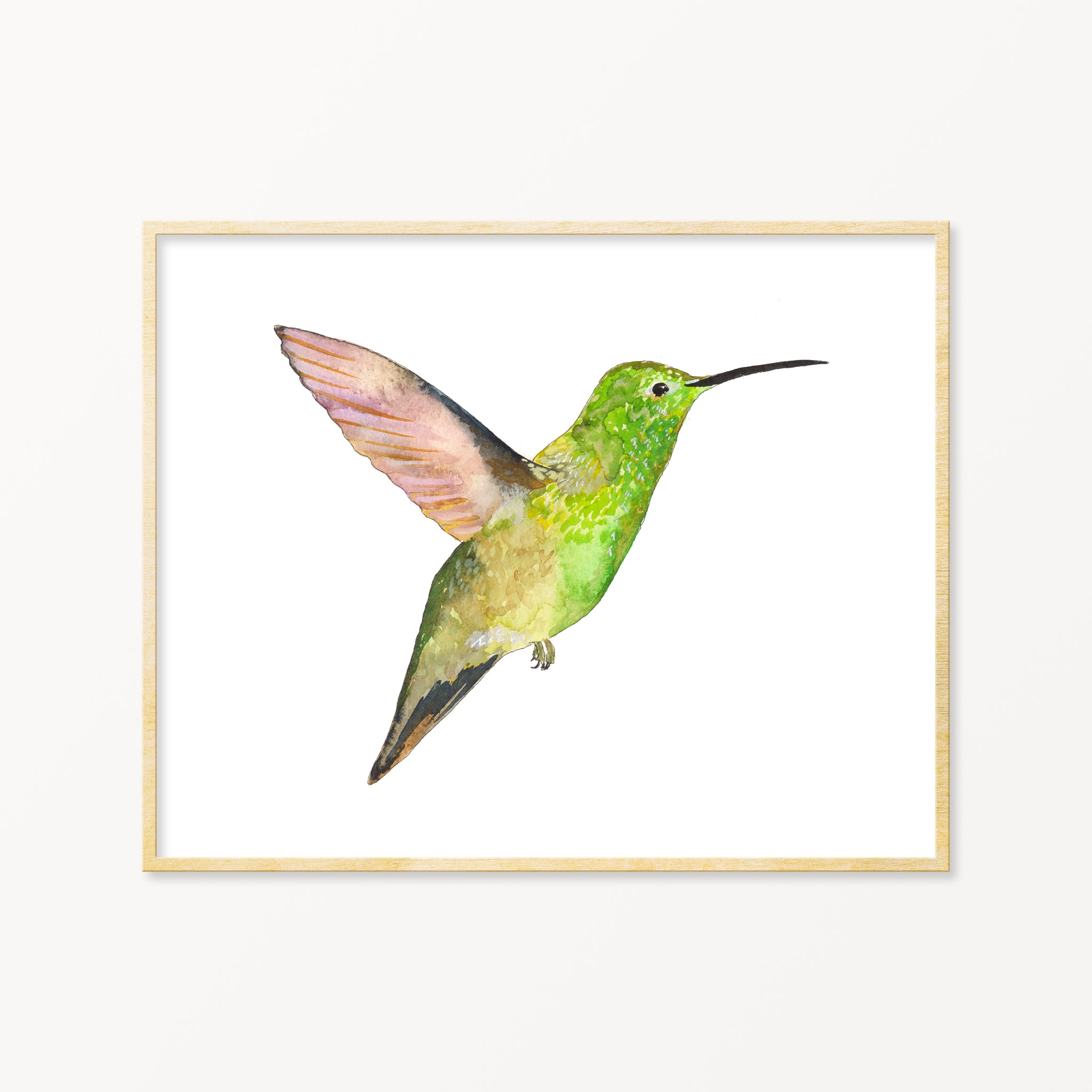 Watercolor Hummingbird Images Wallpapers