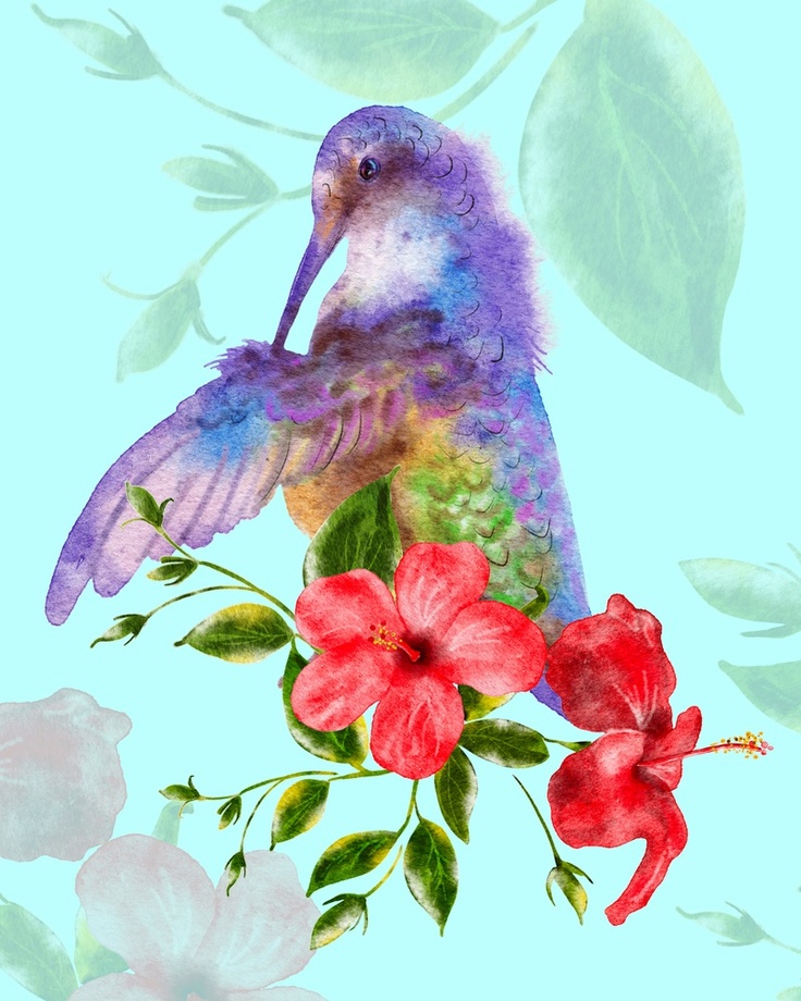 Watercolor Hummingbird Images Wallpapers