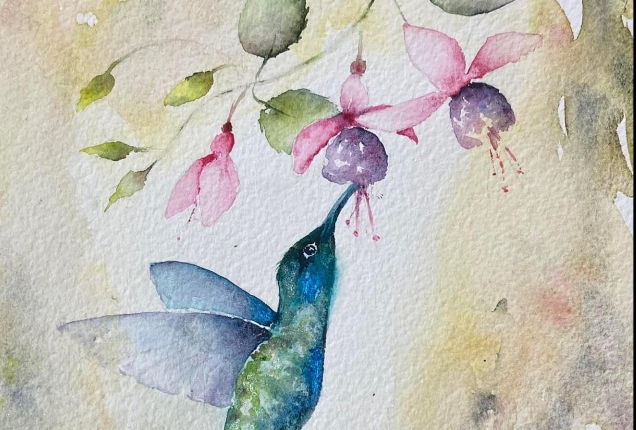 Watercolor Hummingbird Images Wallpapers