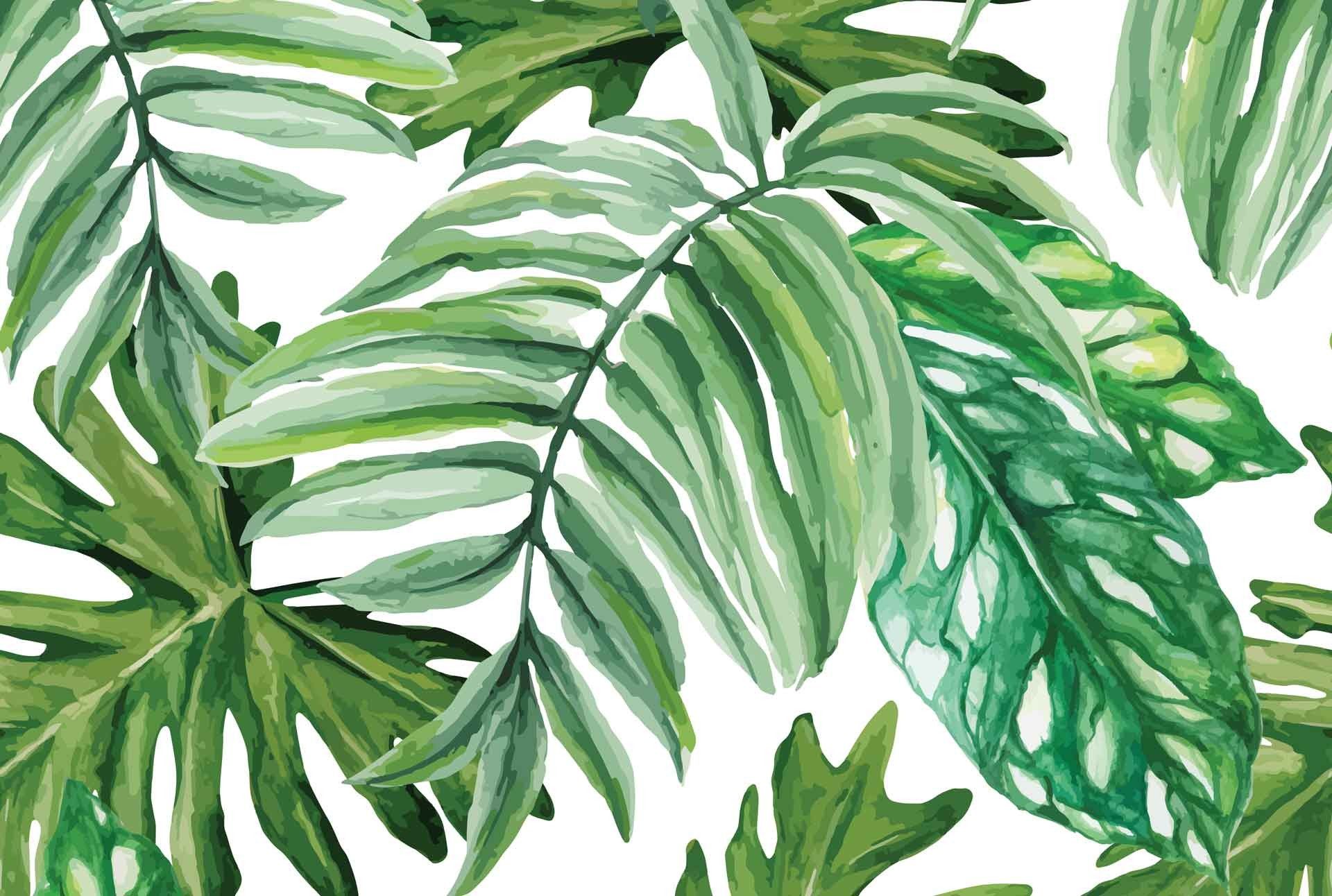 Watercolor Palm Leaves Wallpapers