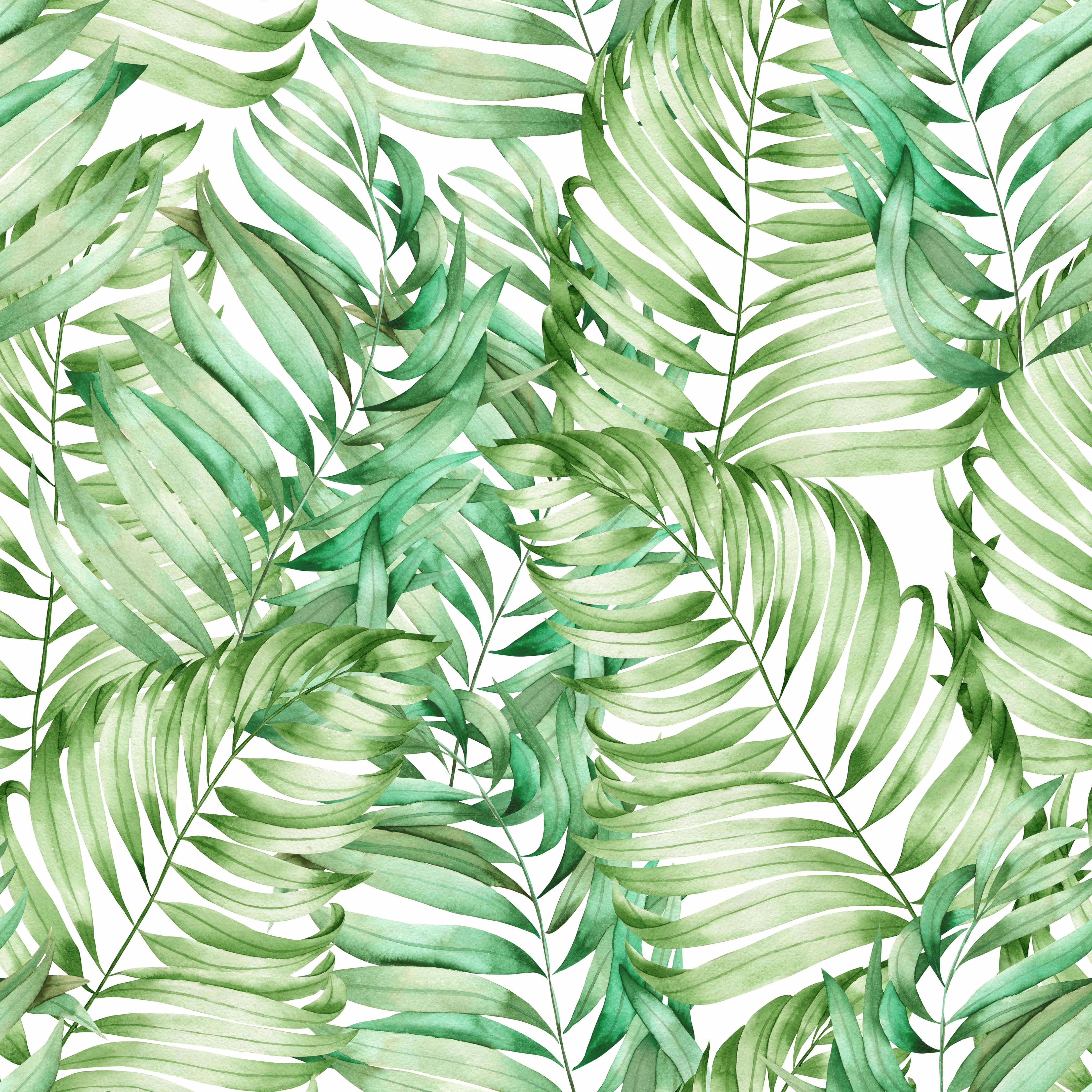 Watercolor Palm Leaves Wallpapers