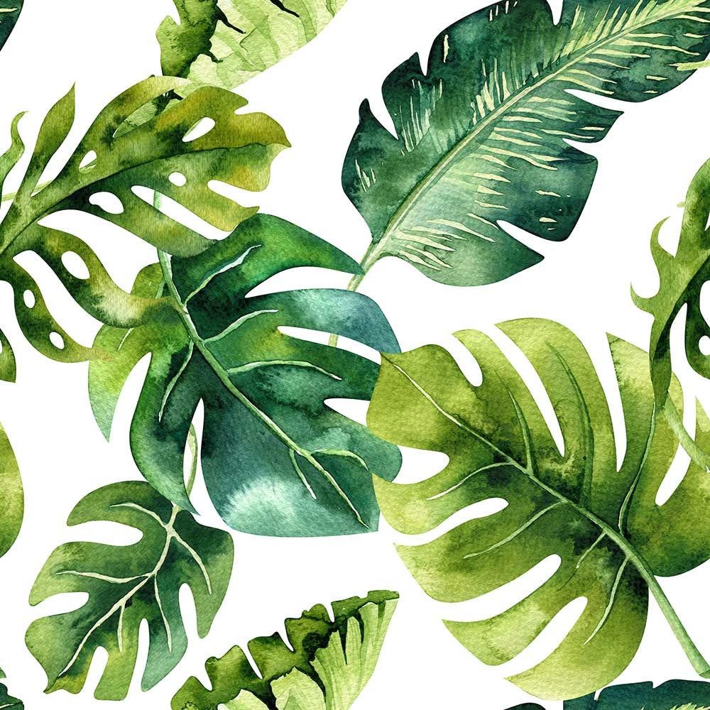 Watercolor Palm Leaves Wallpapers