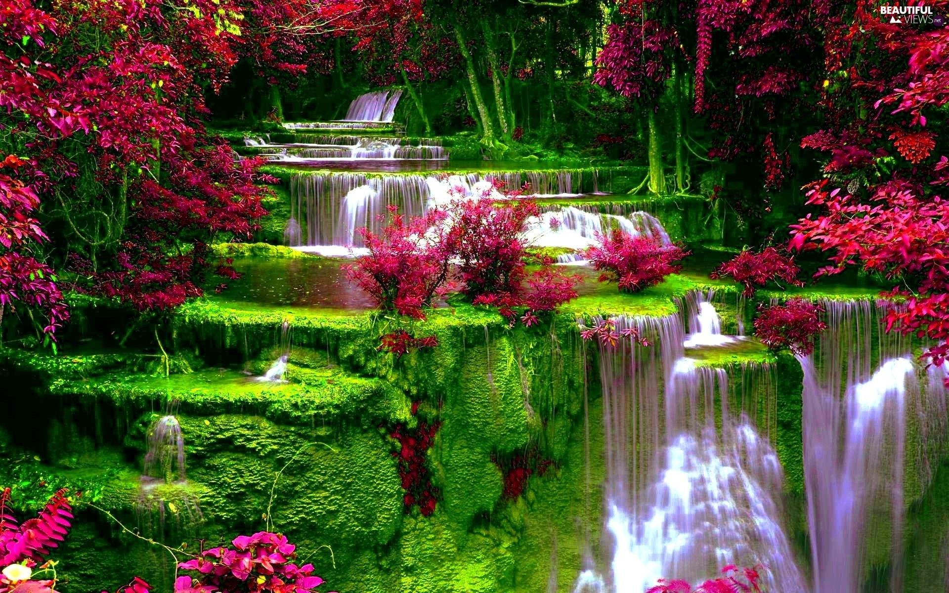 Waterfall And Flowers Wallpapers