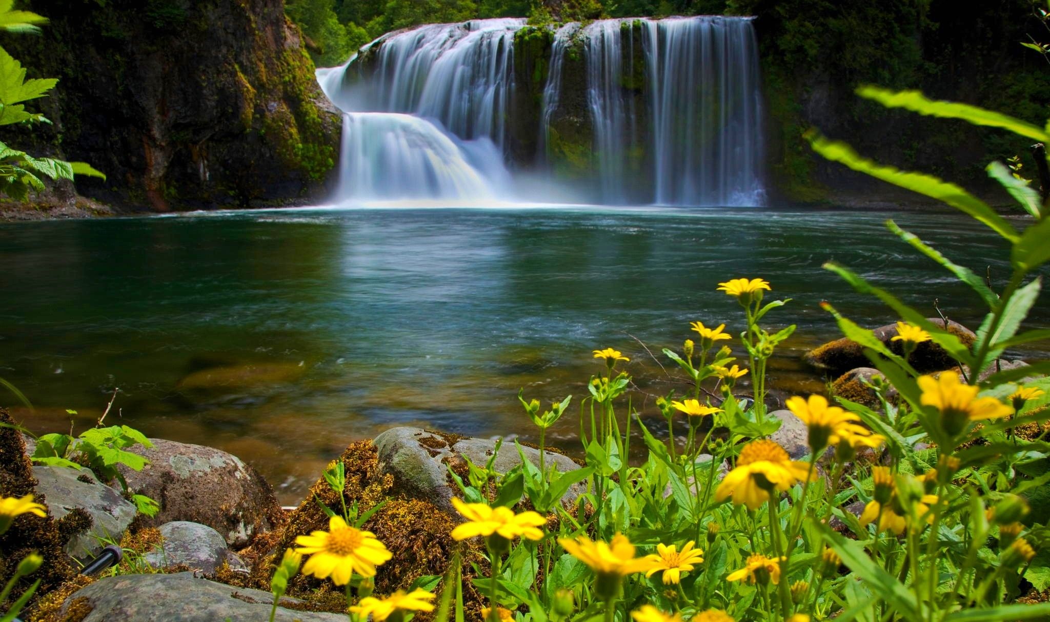 Waterfall And Flowers Wallpapers