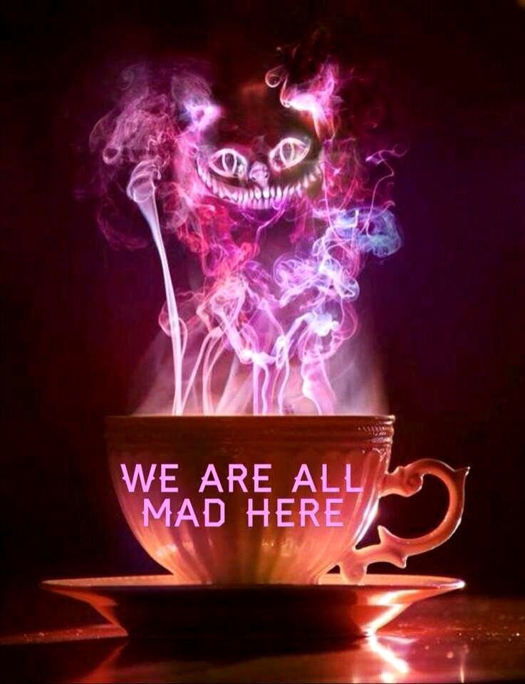 We Re All Mad Here Wallpapers