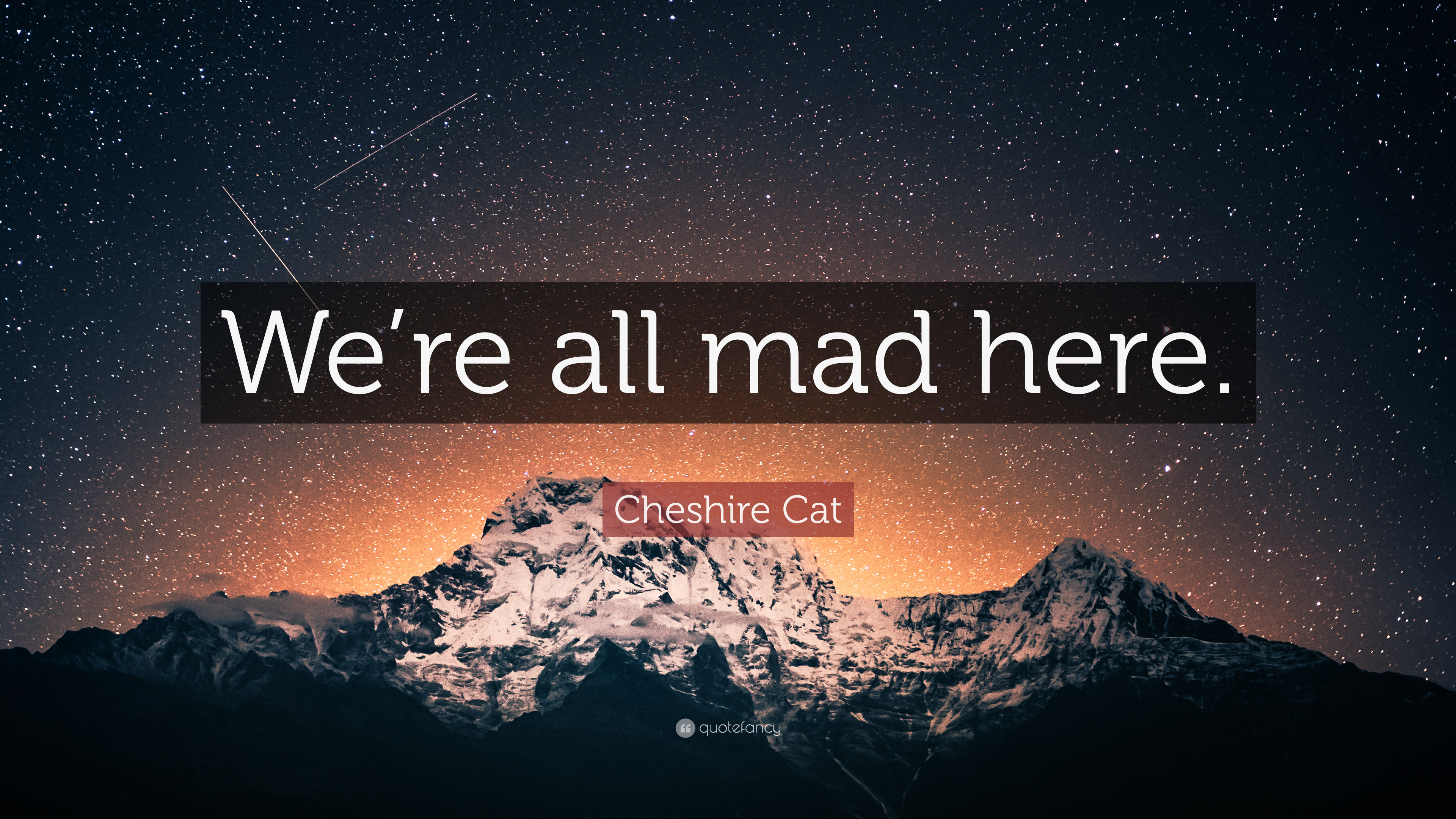 We Re All Mad Here Wallpapers