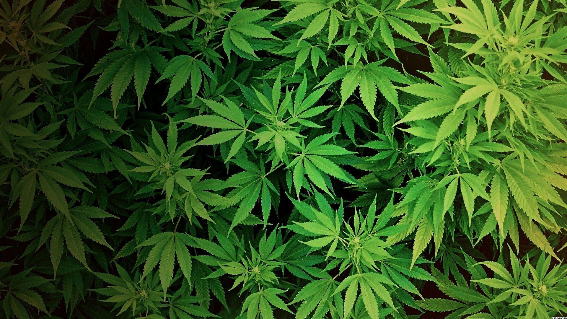 Weed Tumblr Wallpapers