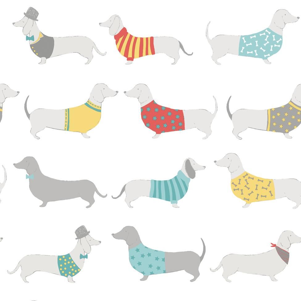 Weiner Dog Wallpapers