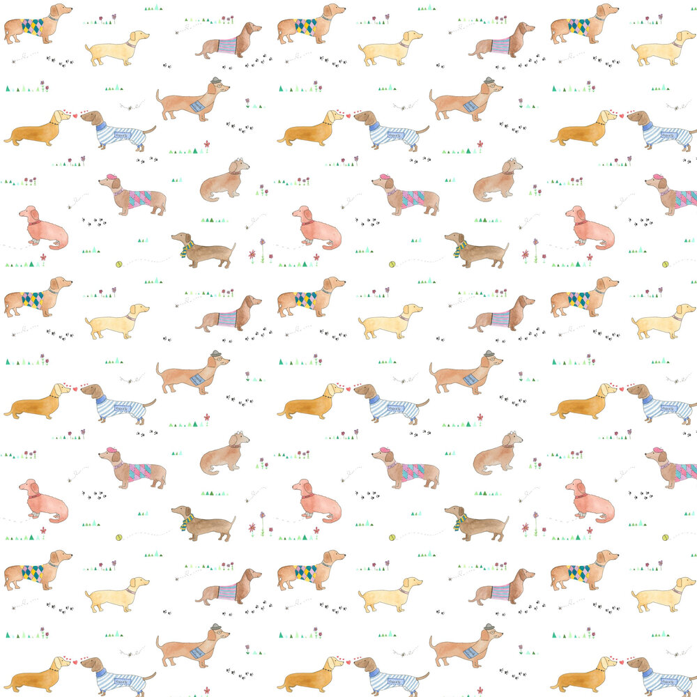 Weiner Dog Wallpapers