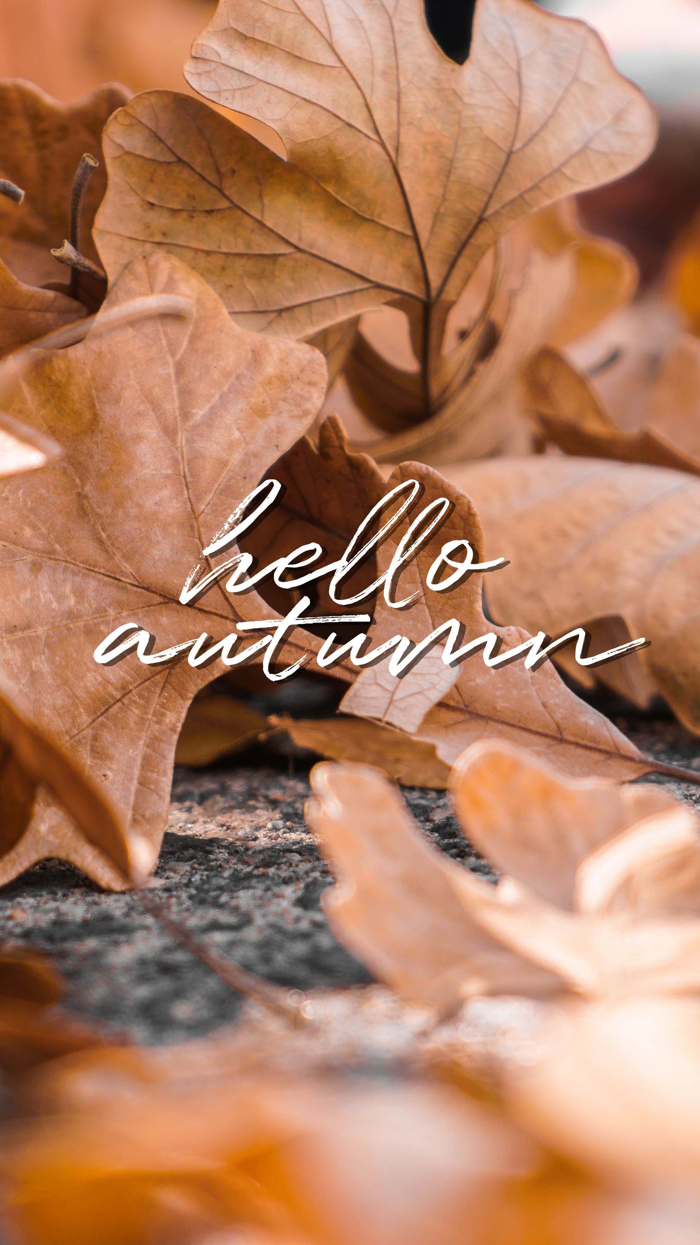 Welcome Autumn Wallpapers