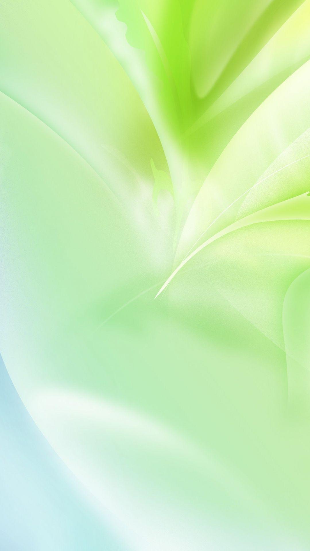 White And Green Wallpapers
