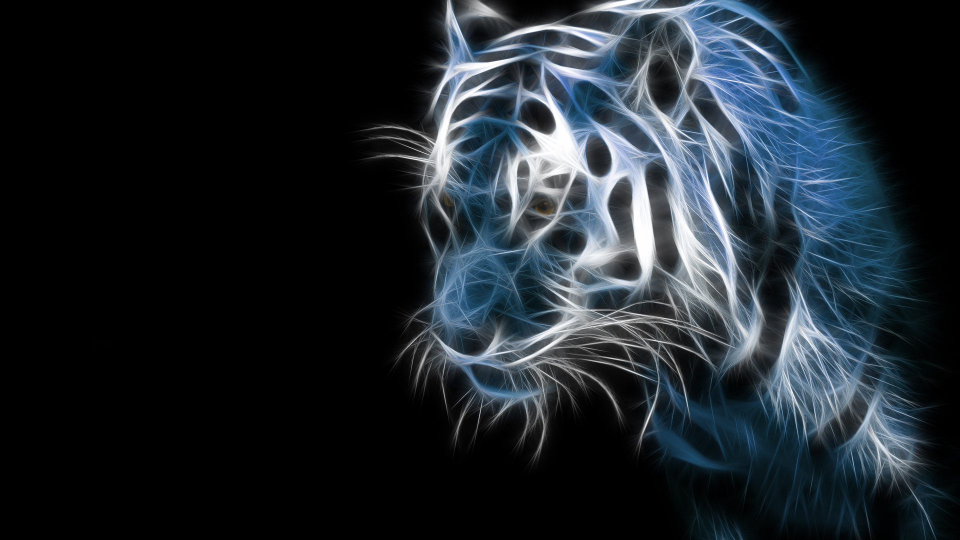 White Animal Wallpapers