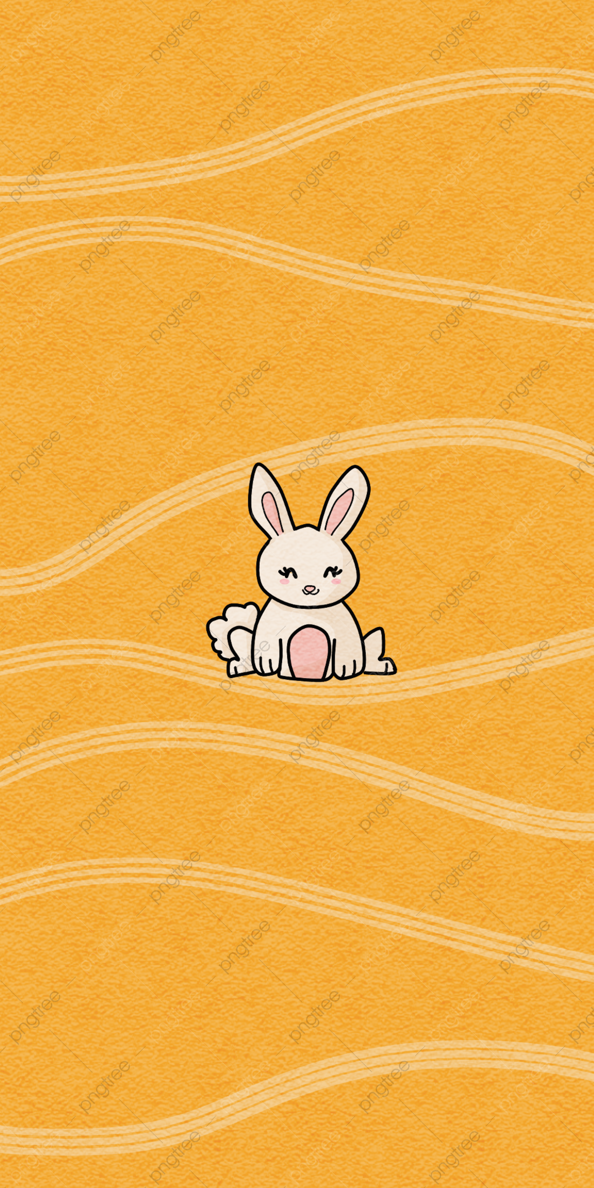 White Bunny Wallpapers