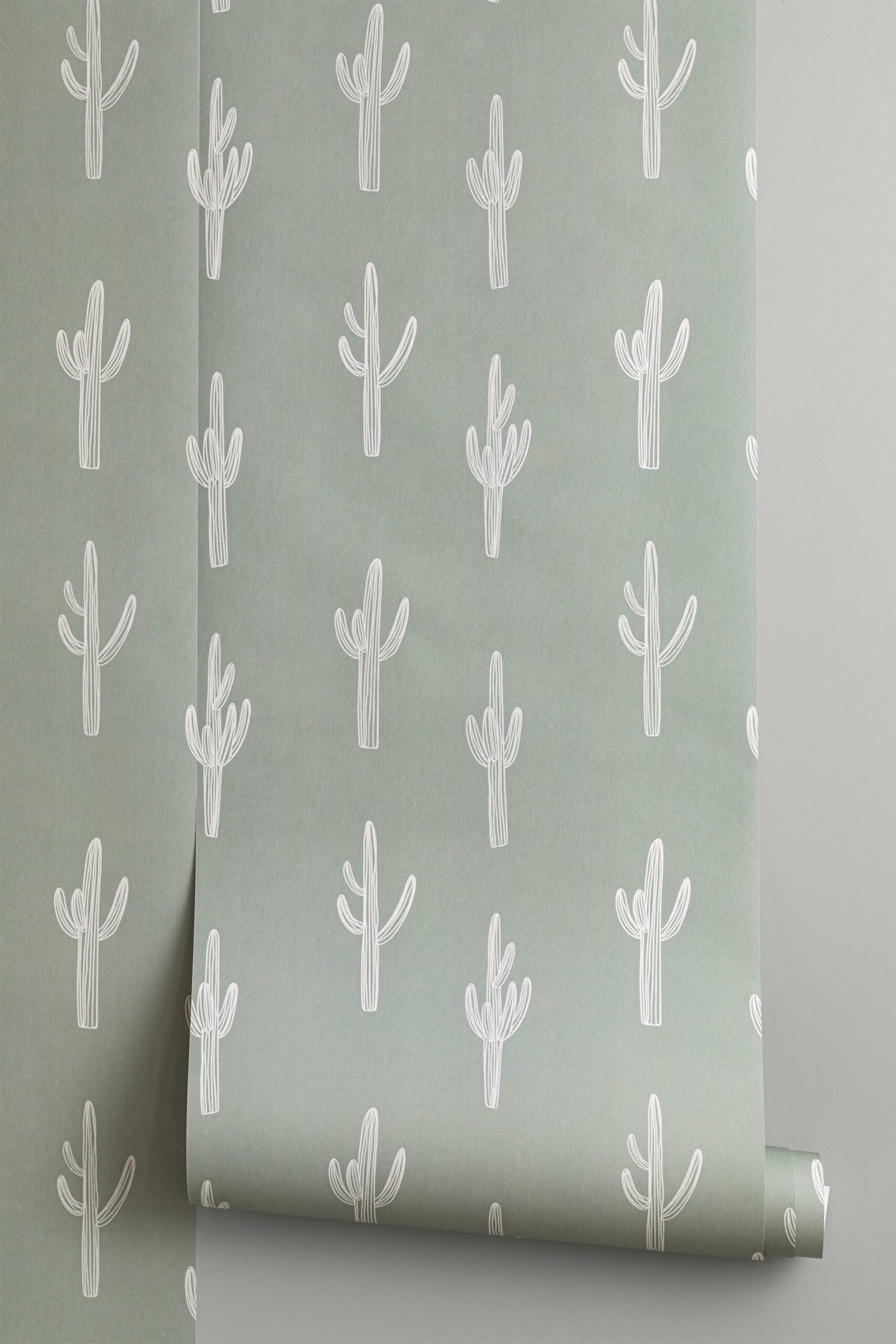 White Cactus Wallpapers