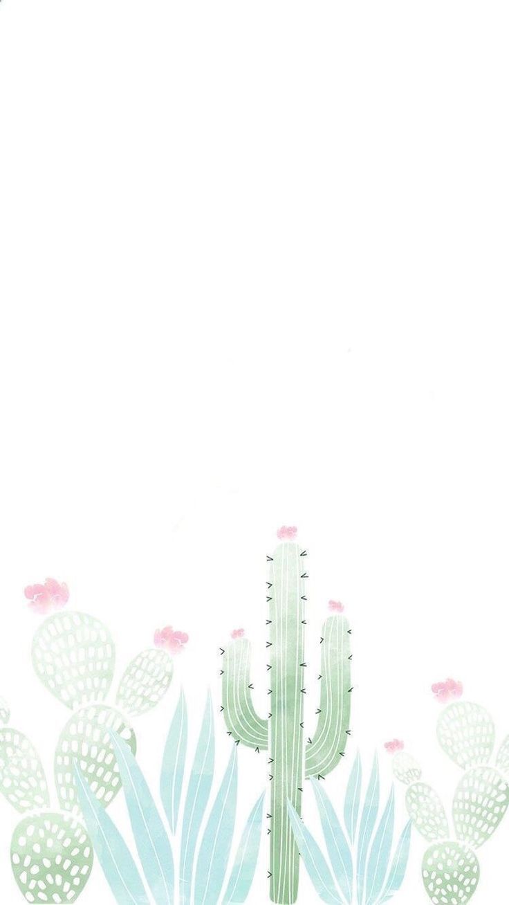 White Cactus Wallpapers