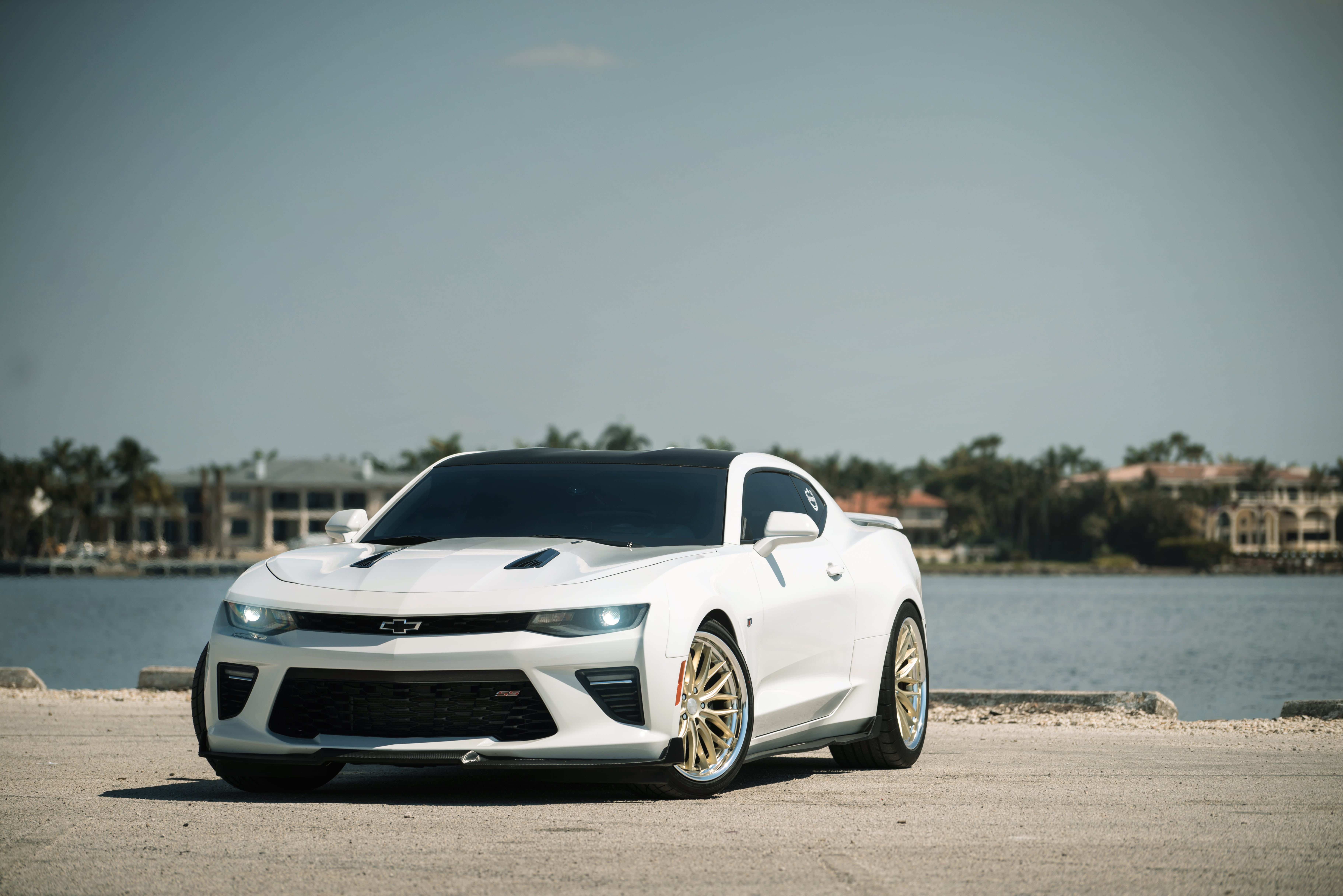 White Camaro Wallpapers