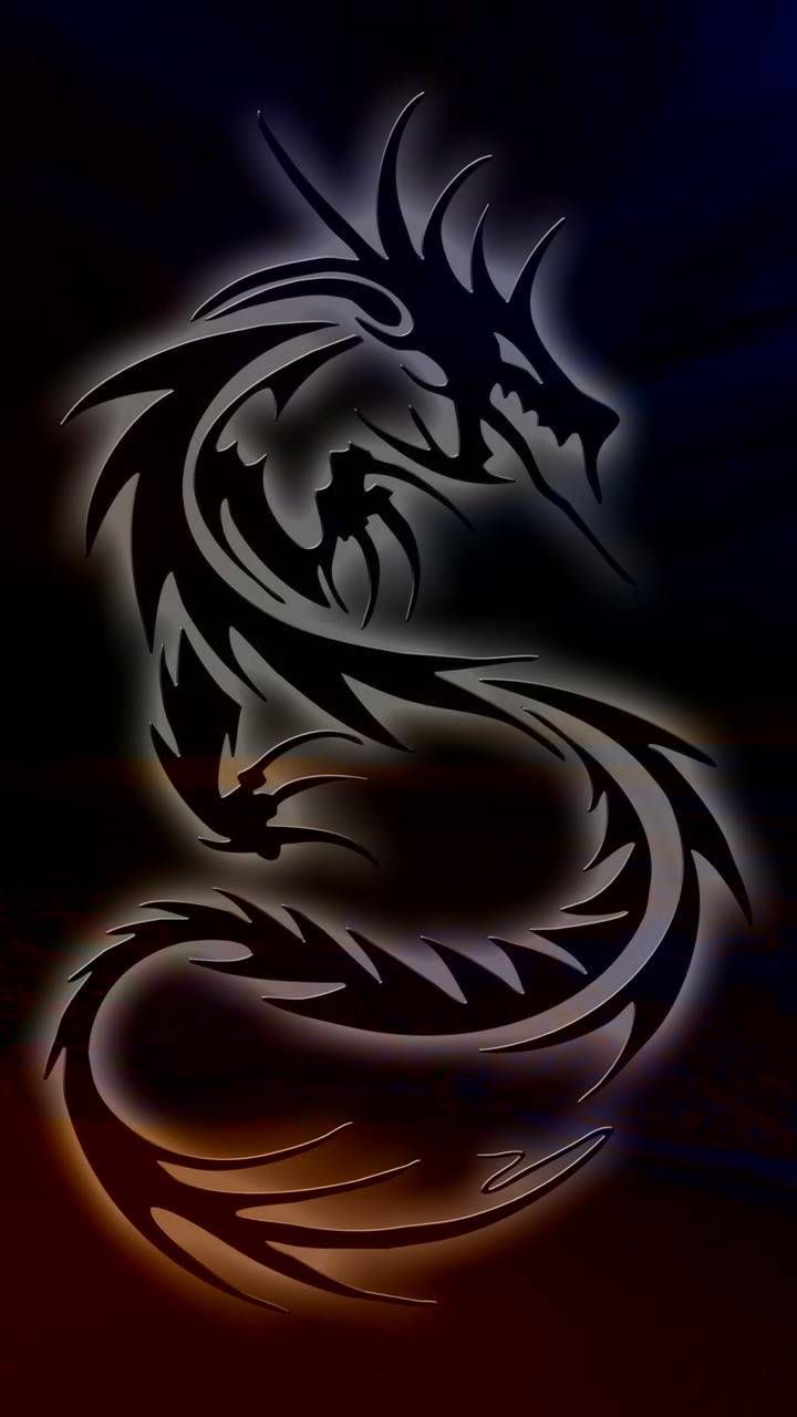 White Dragons Wallpapers