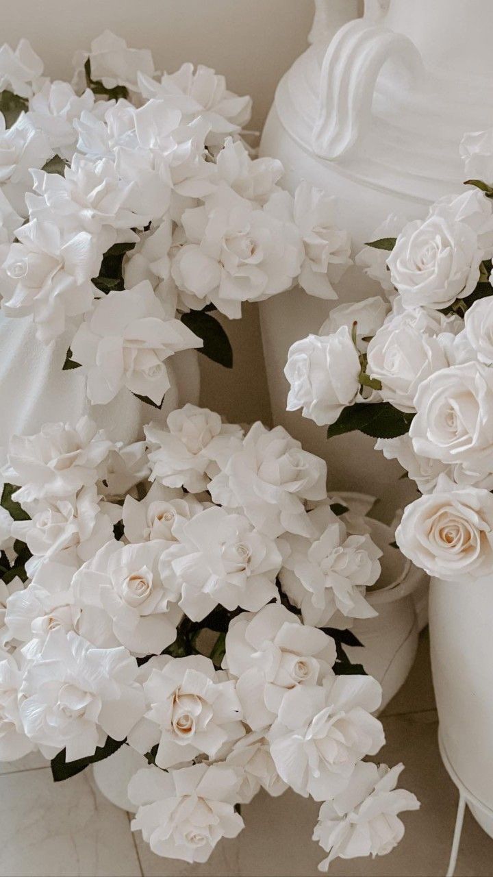 White Flower Iphone Wallpapers