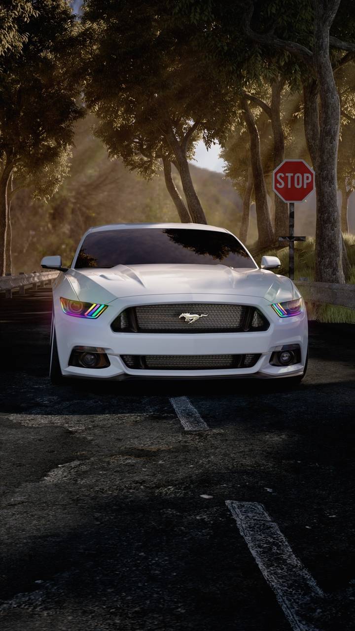 White Mustang Wallpapers