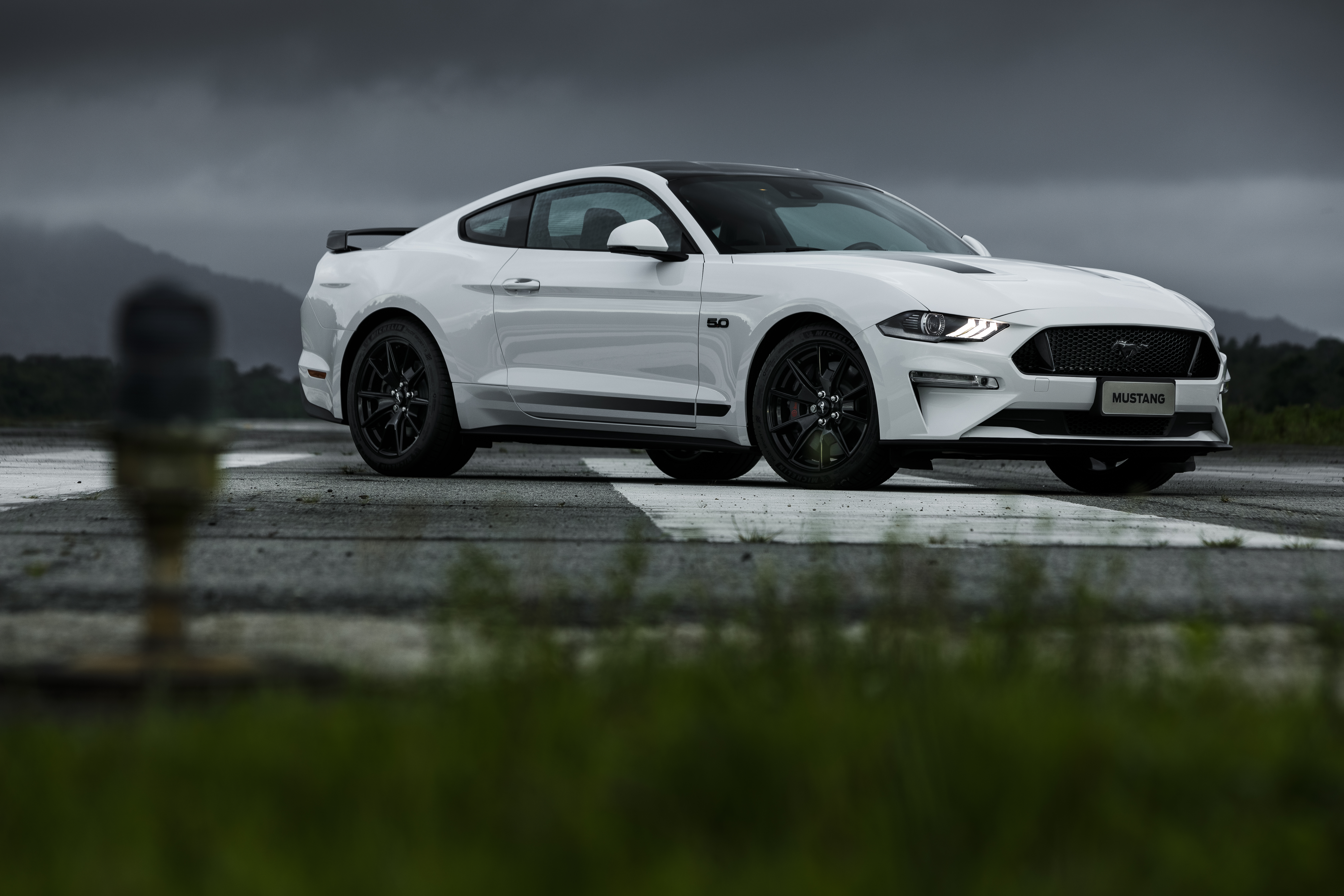 White Mustang Wallpapers