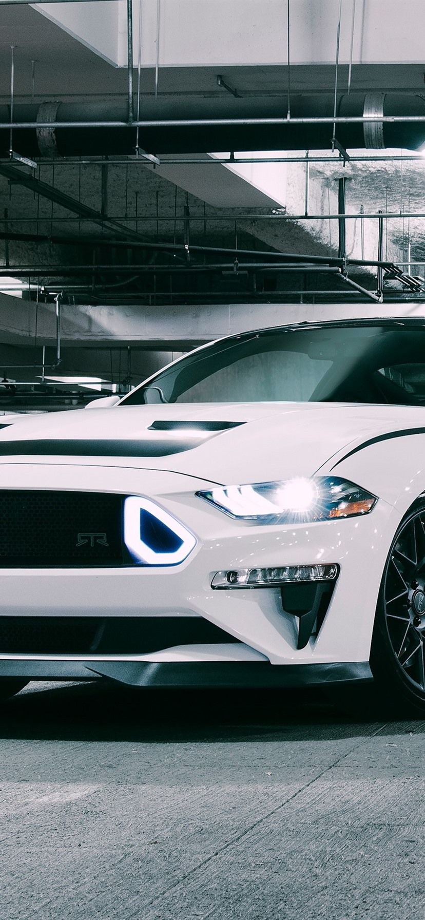 White Mustang Wallpapers