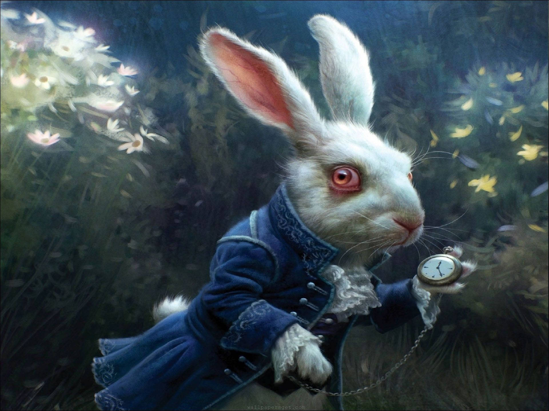 White Rabbit Wallpapers