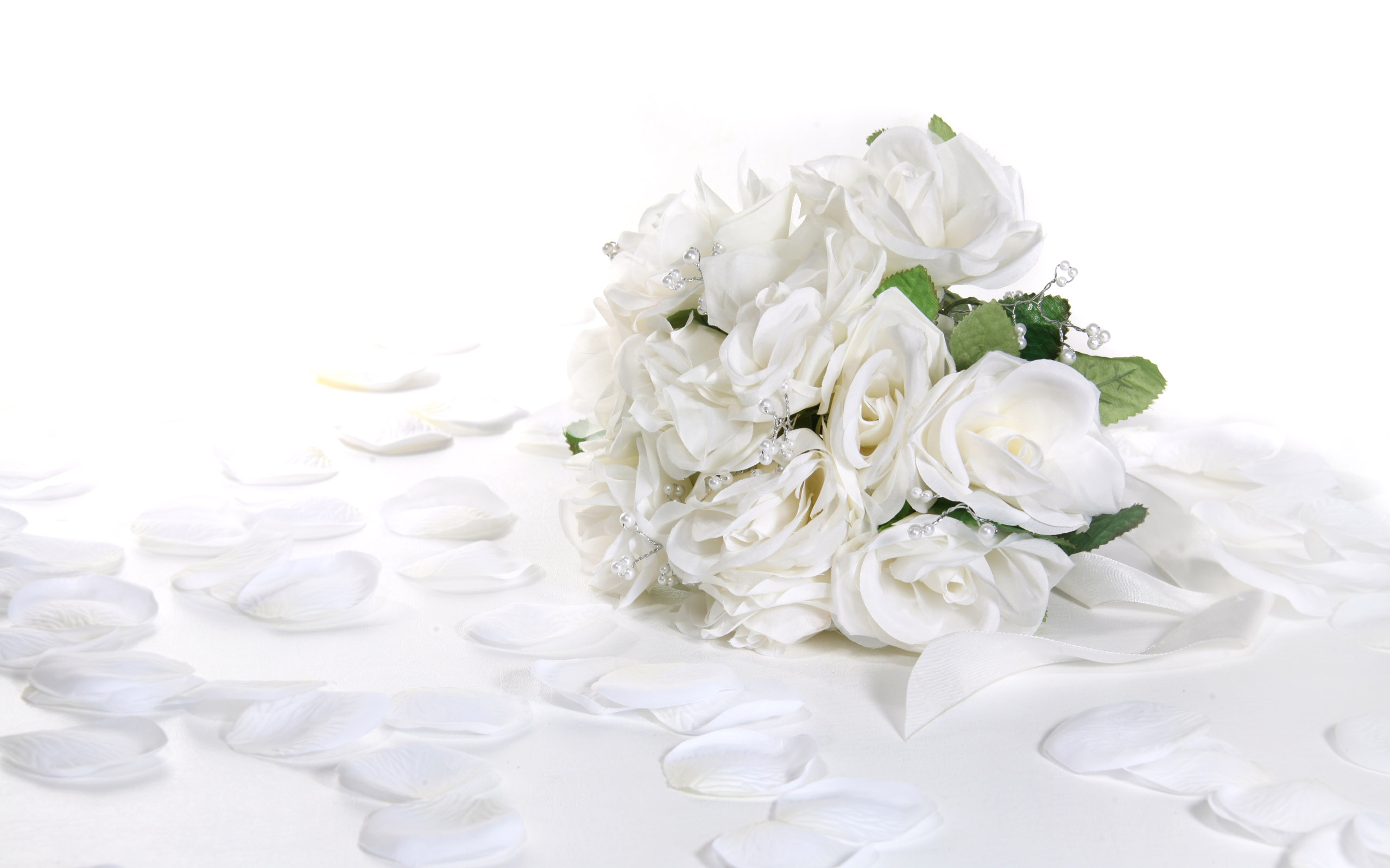 White Roses Screensaver Wallpapers