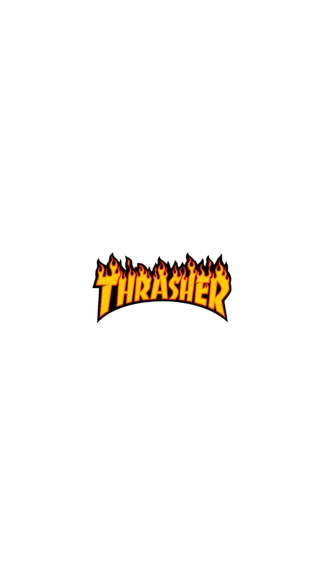 White Thrasher Wallpapers