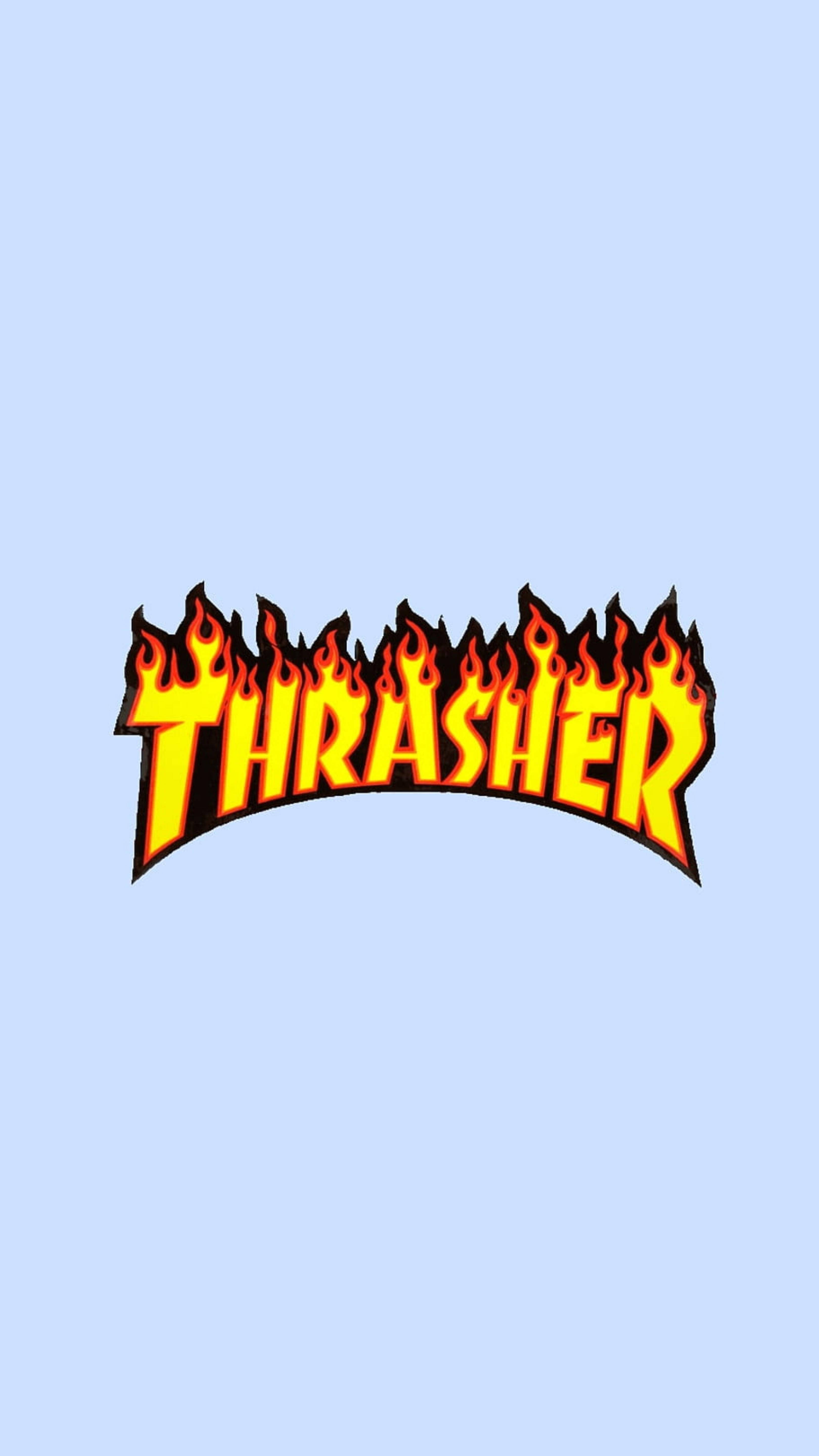 White Thrasher Wallpapers