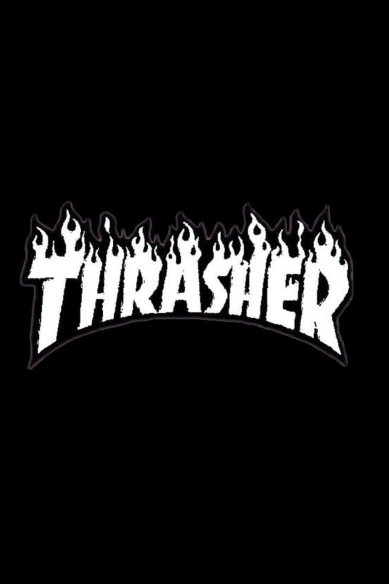 White Thrasher Wallpapers