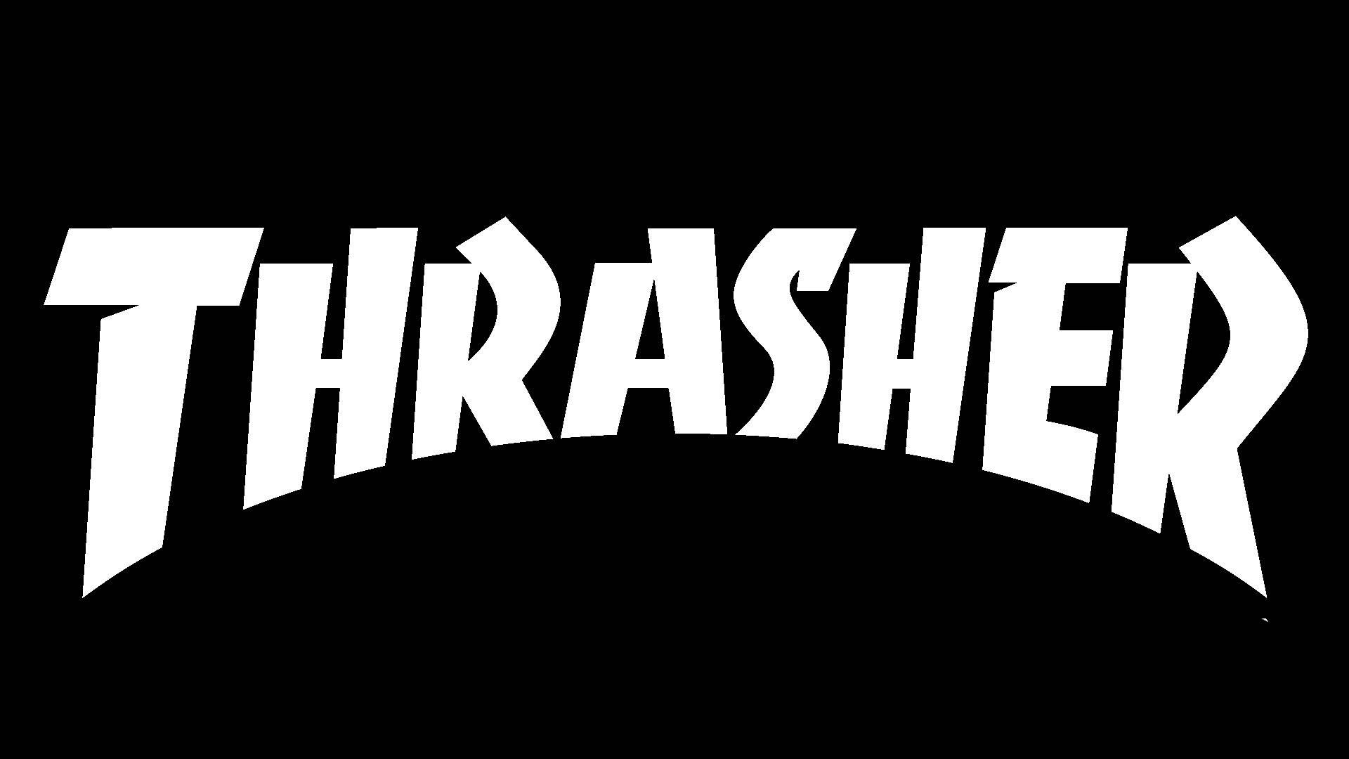 White Thrasher Wallpapers