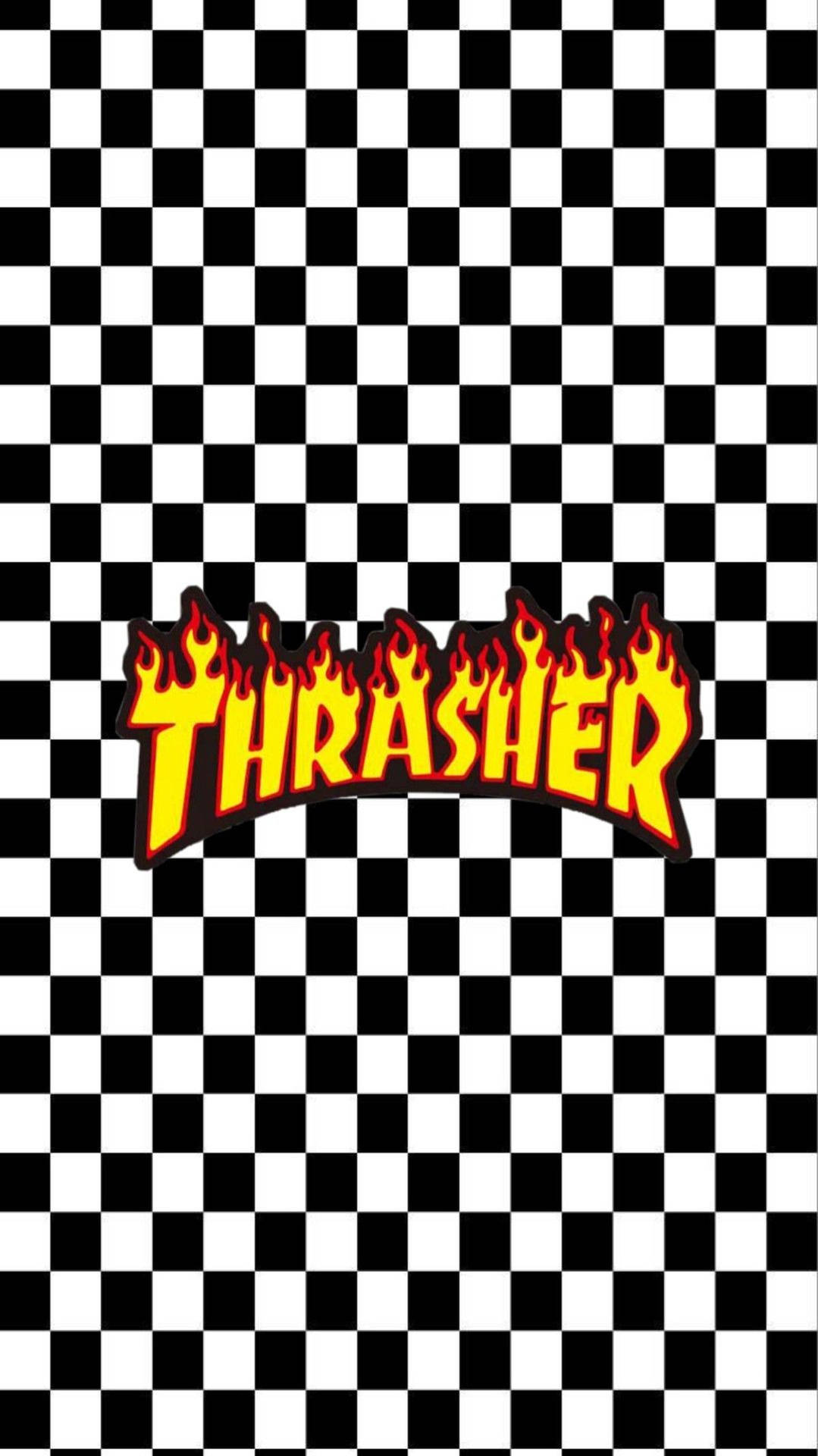 White Thrasher Wallpapers