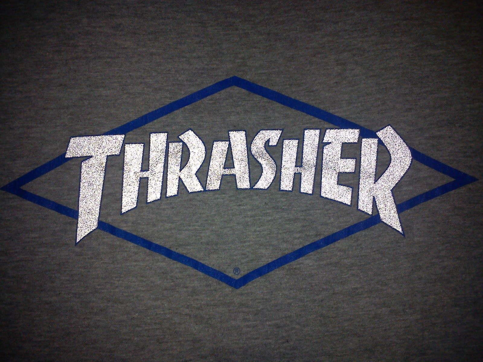 White Thrasher Wallpapers