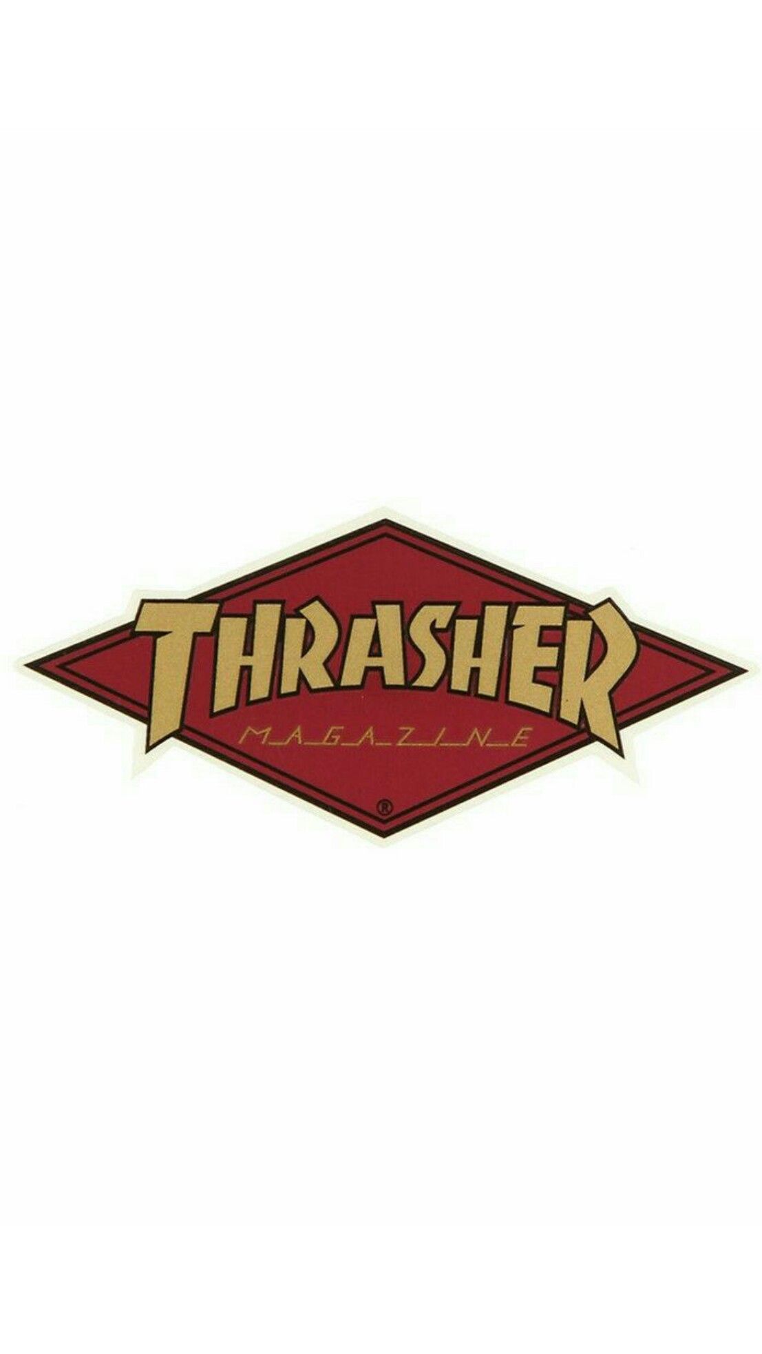 White Thrasher Wallpapers