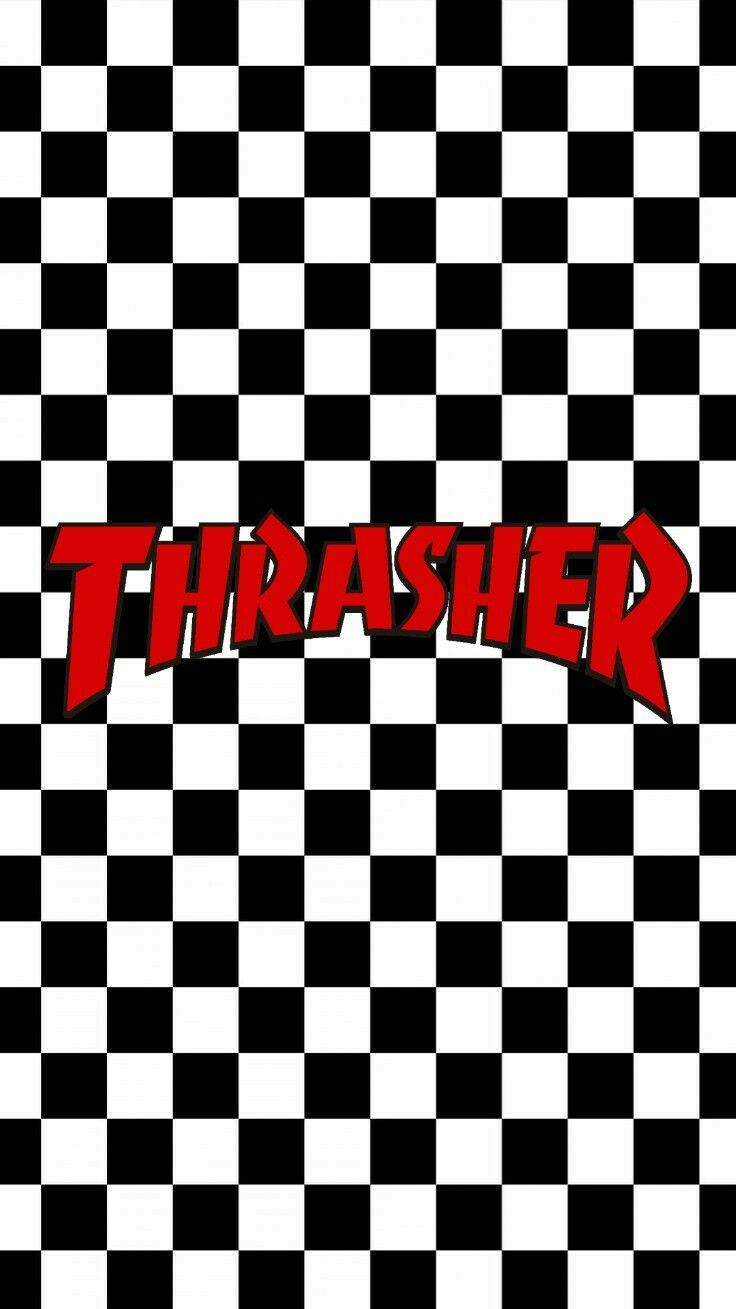 White Thrasher Wallpapers