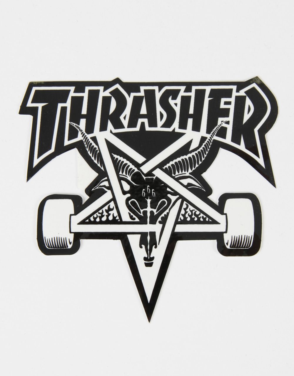 White Thrasher Wallpapers