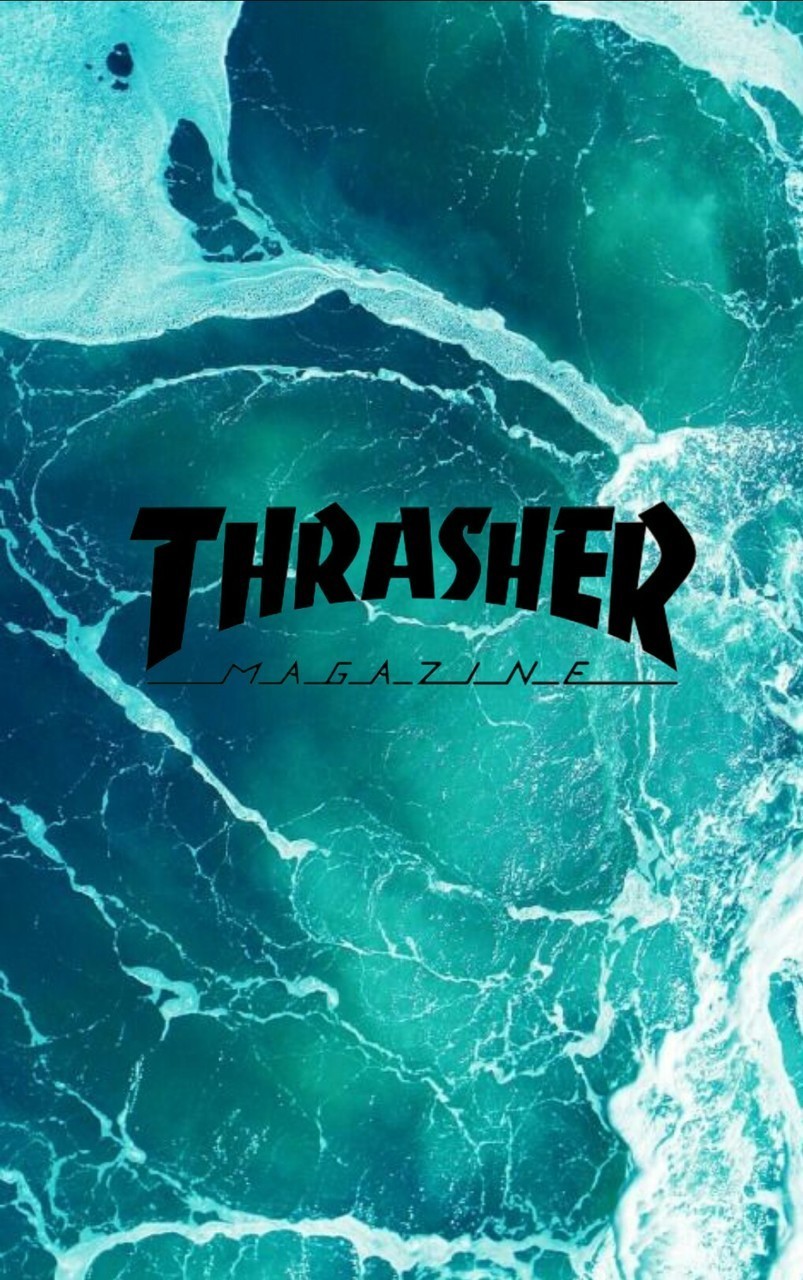 White Thrasher Wallpapers