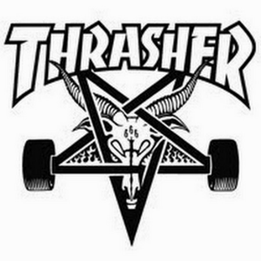 White Thrasher Wallpapers