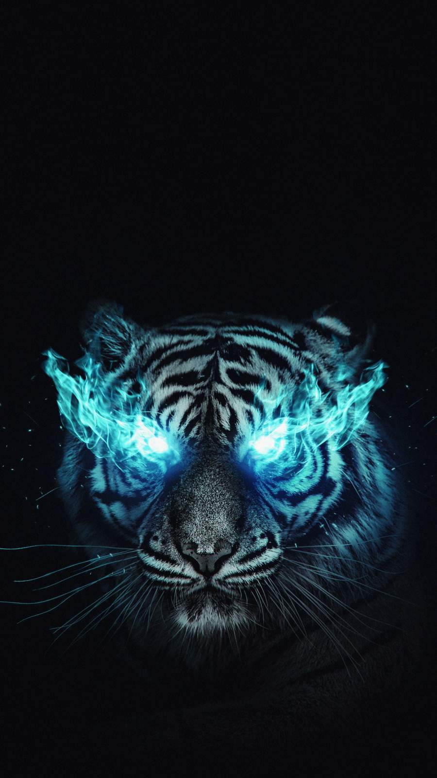 White Tiger Iphone Wallpapers