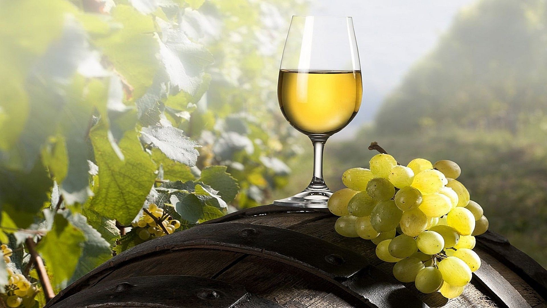 White Wine Wallpapers