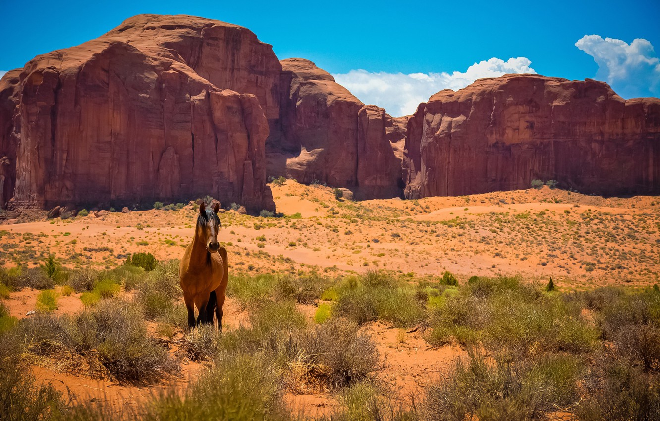 Wild West Scenery Wallpapers