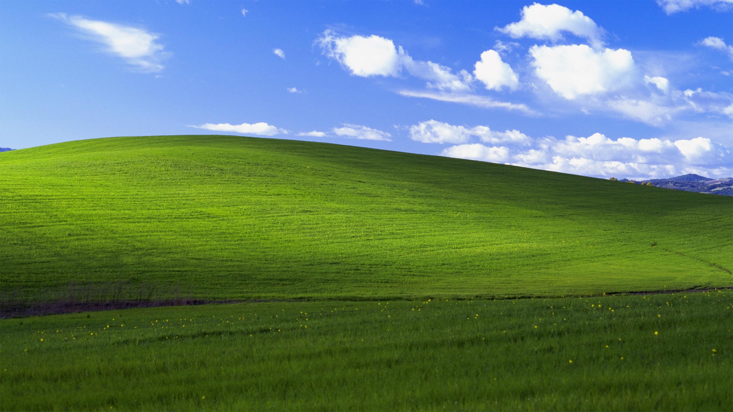 Windows 10 1440P Wallpapers