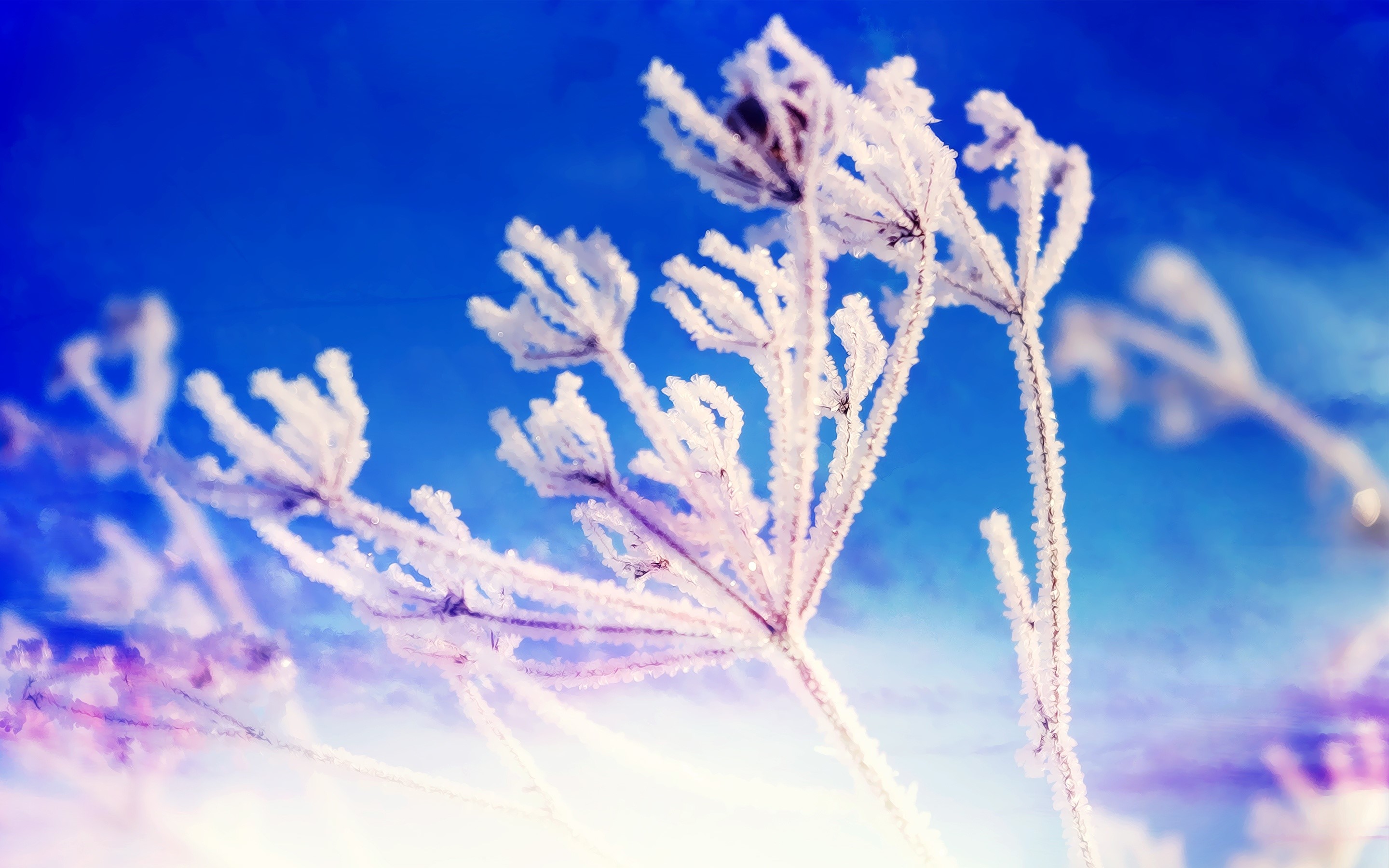 Winter Fantasy Wallpapers