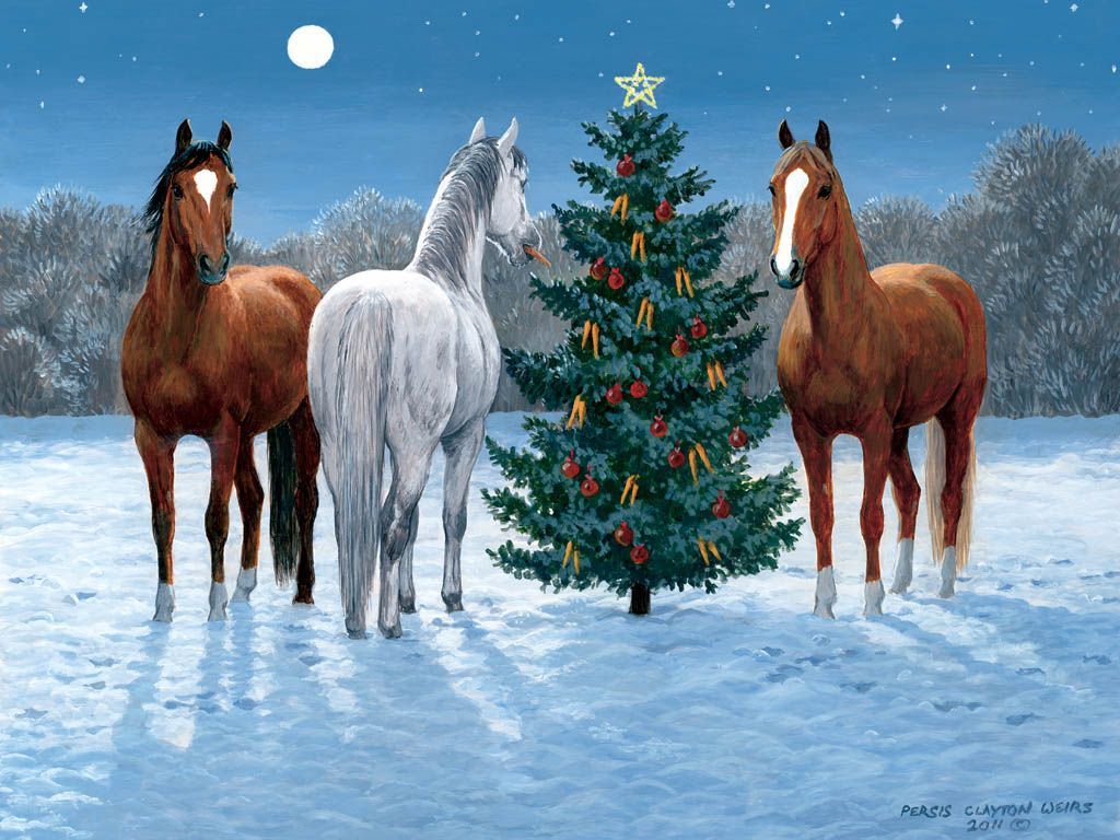 Winter Horses Wallpapers