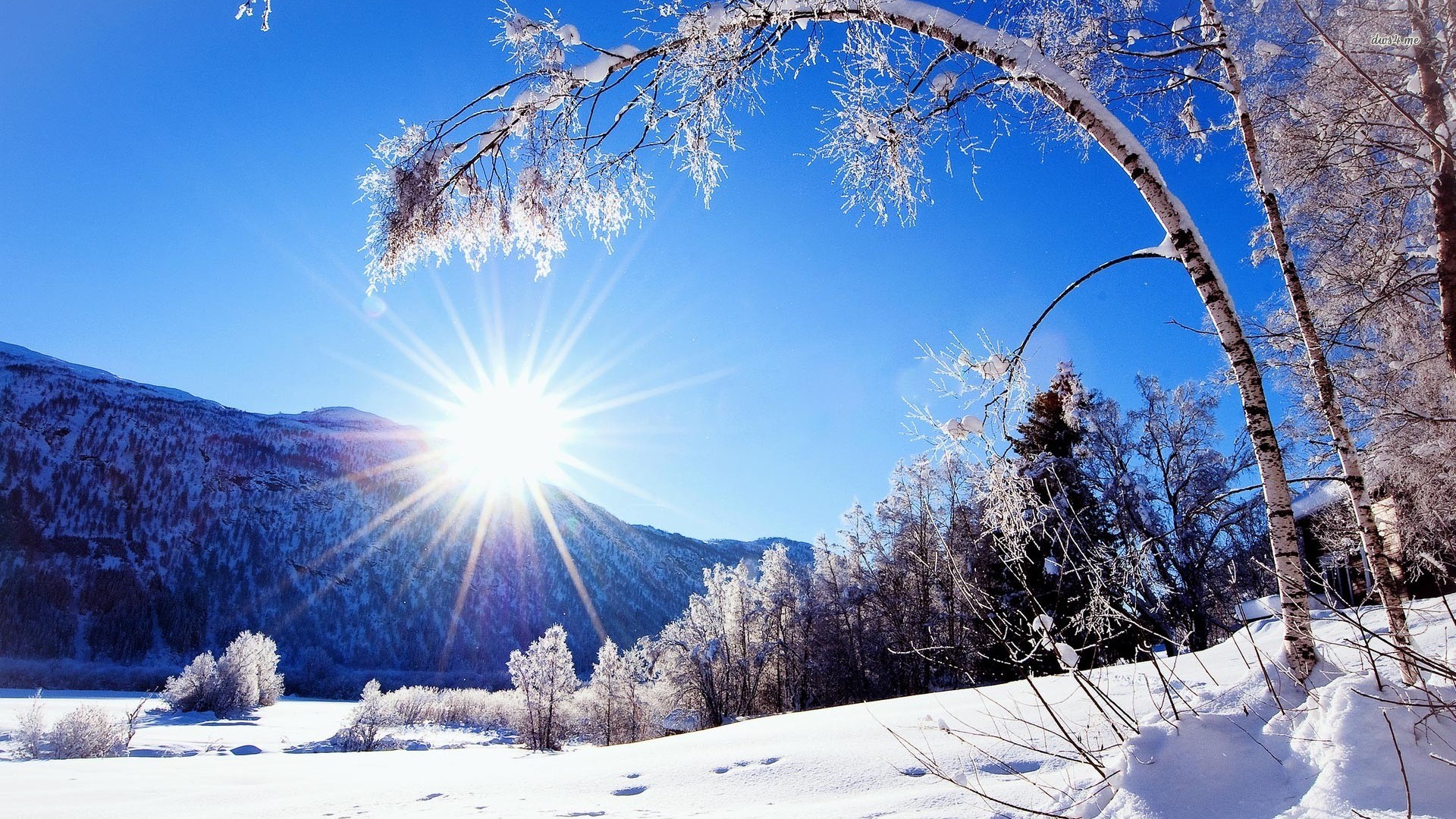 Winter Landscapes Wallpapers