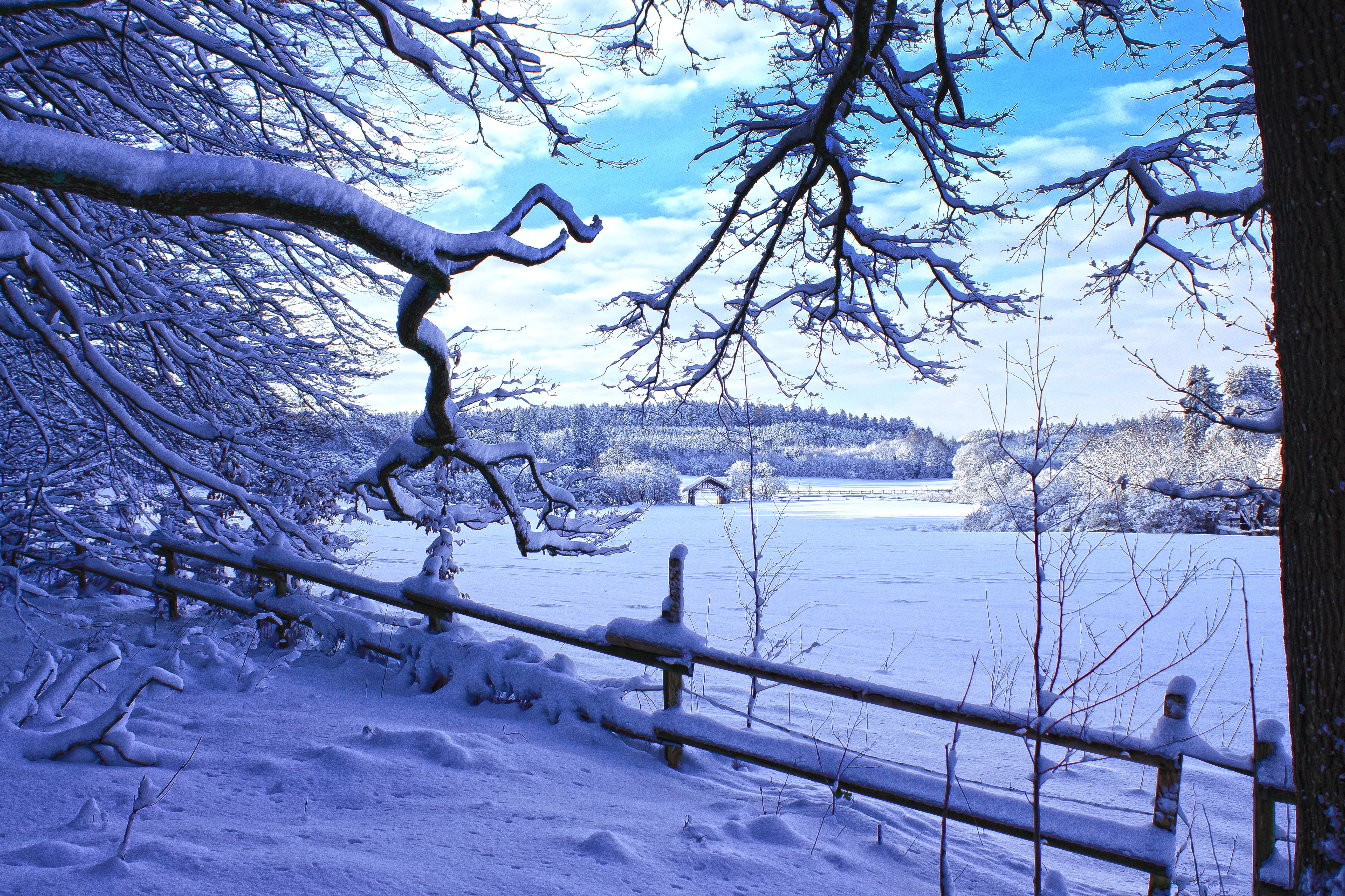 Winter Landscapes Wallpapers